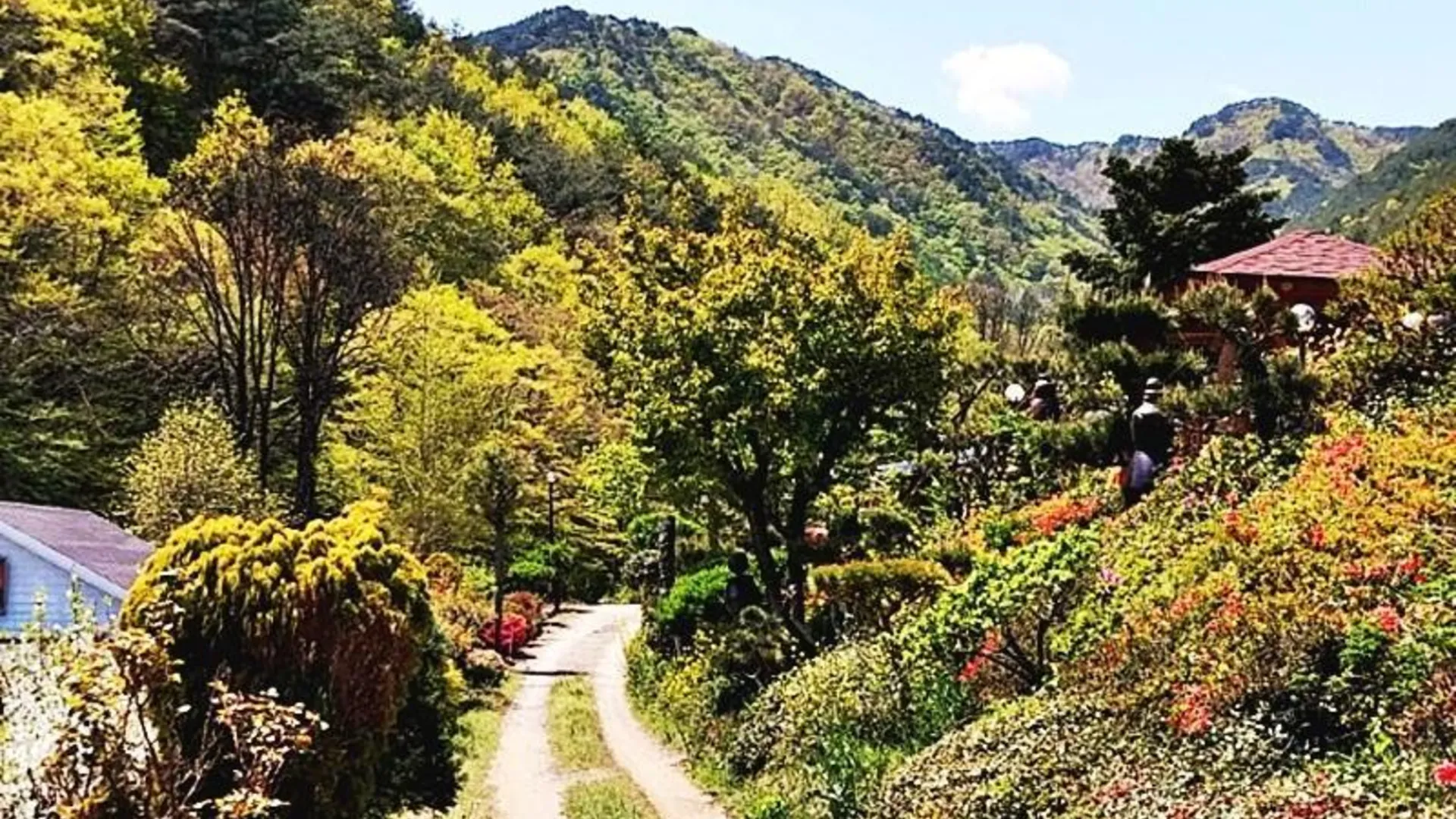 창녕 산청 지리산털보농원펜션 2성급 게스트하우스 수영장