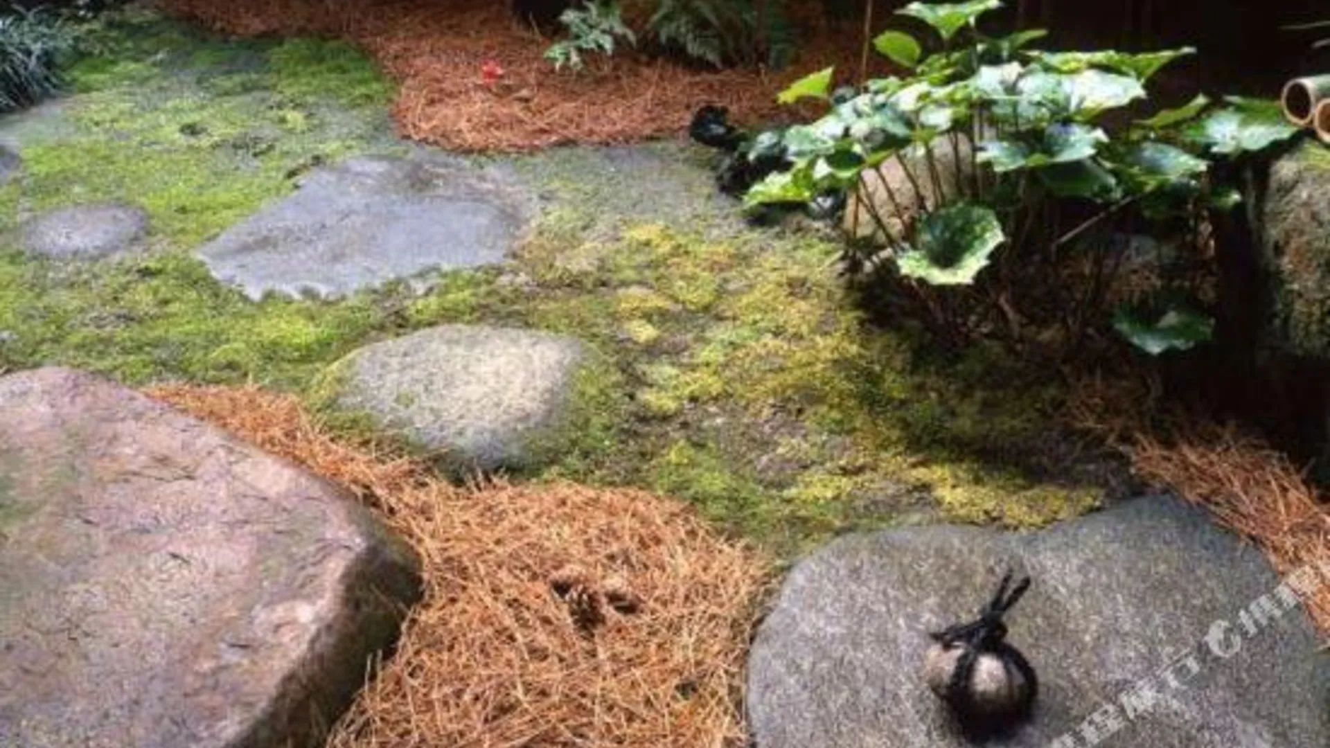 교토 Sumiya Ryokan 3성급 호텔 전망