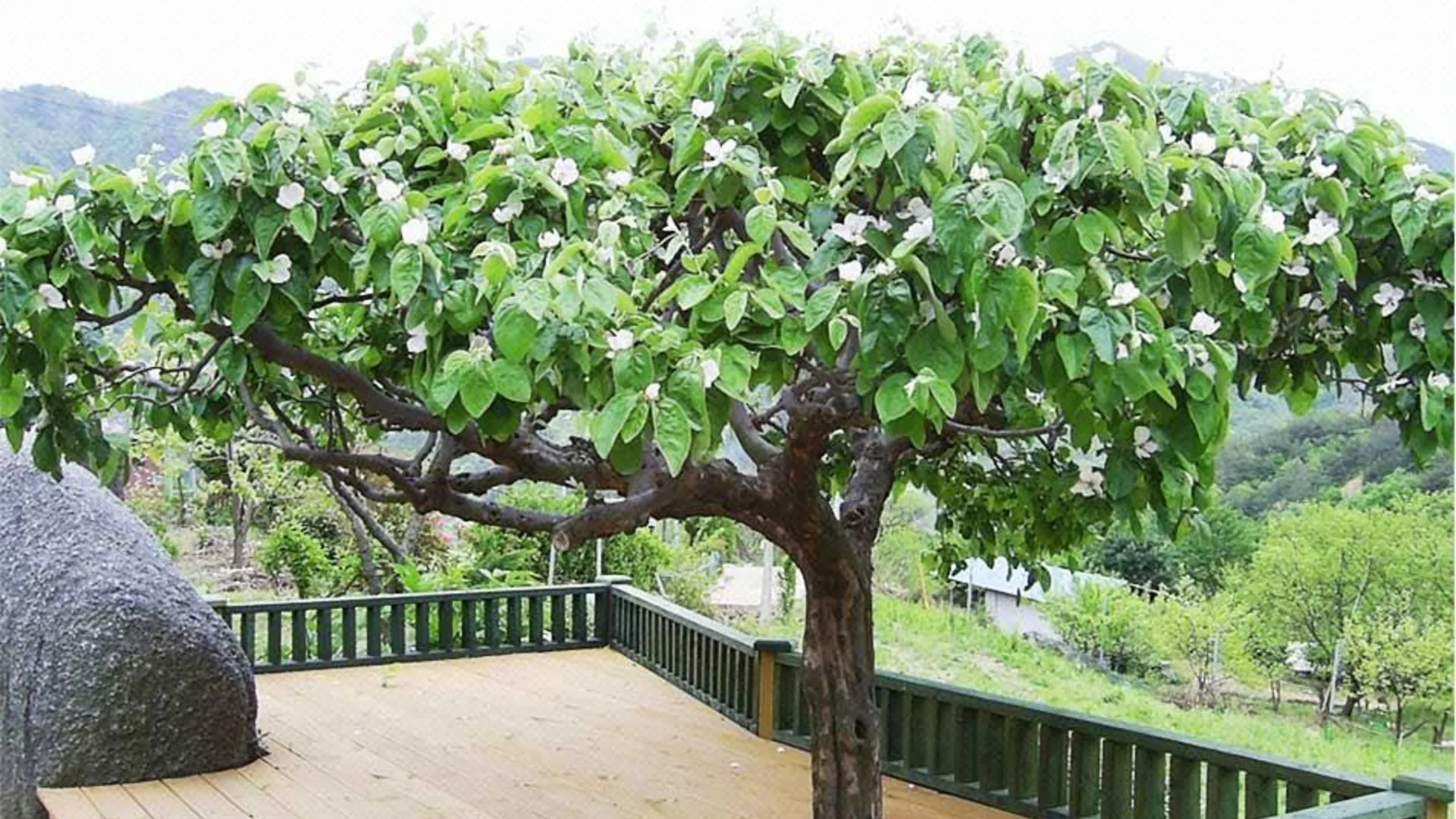 산청 산청 지리산폭포펜션 2성급 게스트하우스 외관