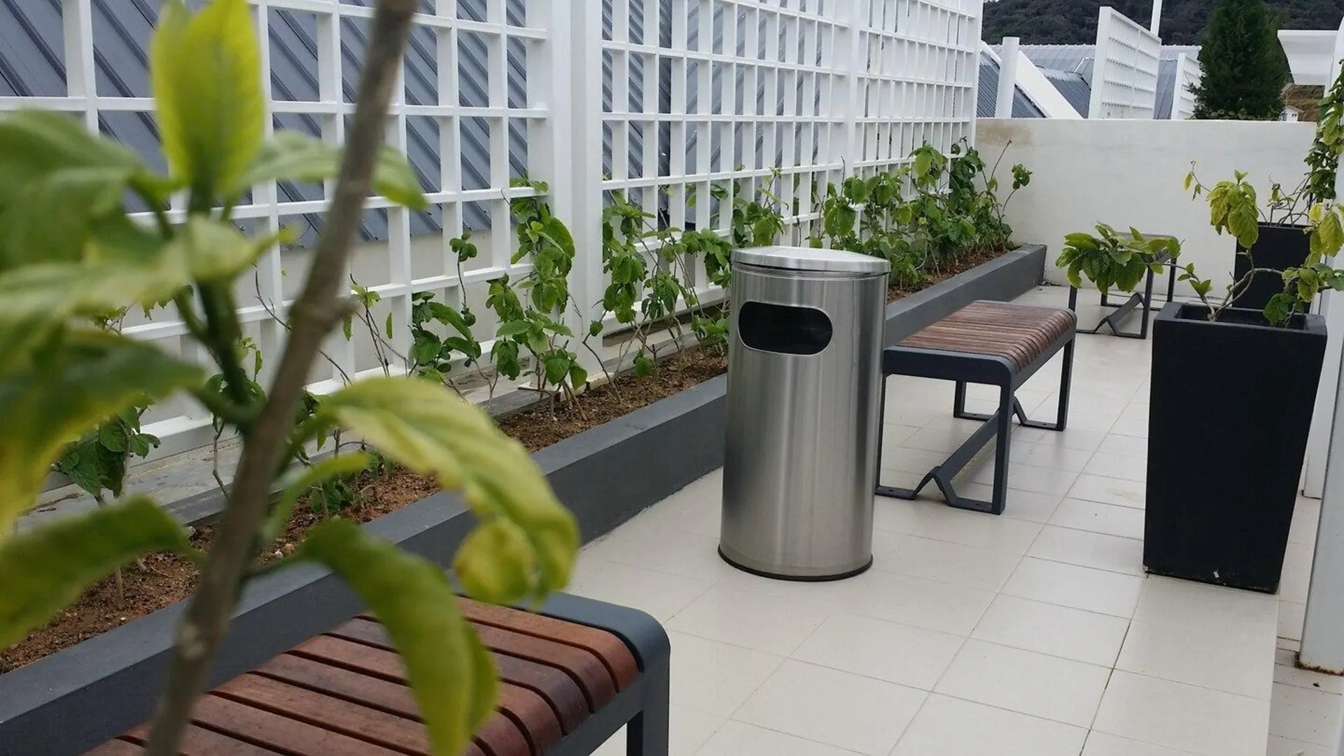 카메론 하일랜즈 브린창의 아파트먼트 (75m², 침실 2개, 프라이빗 욕실 2개) 3성급 싱글룸 객실