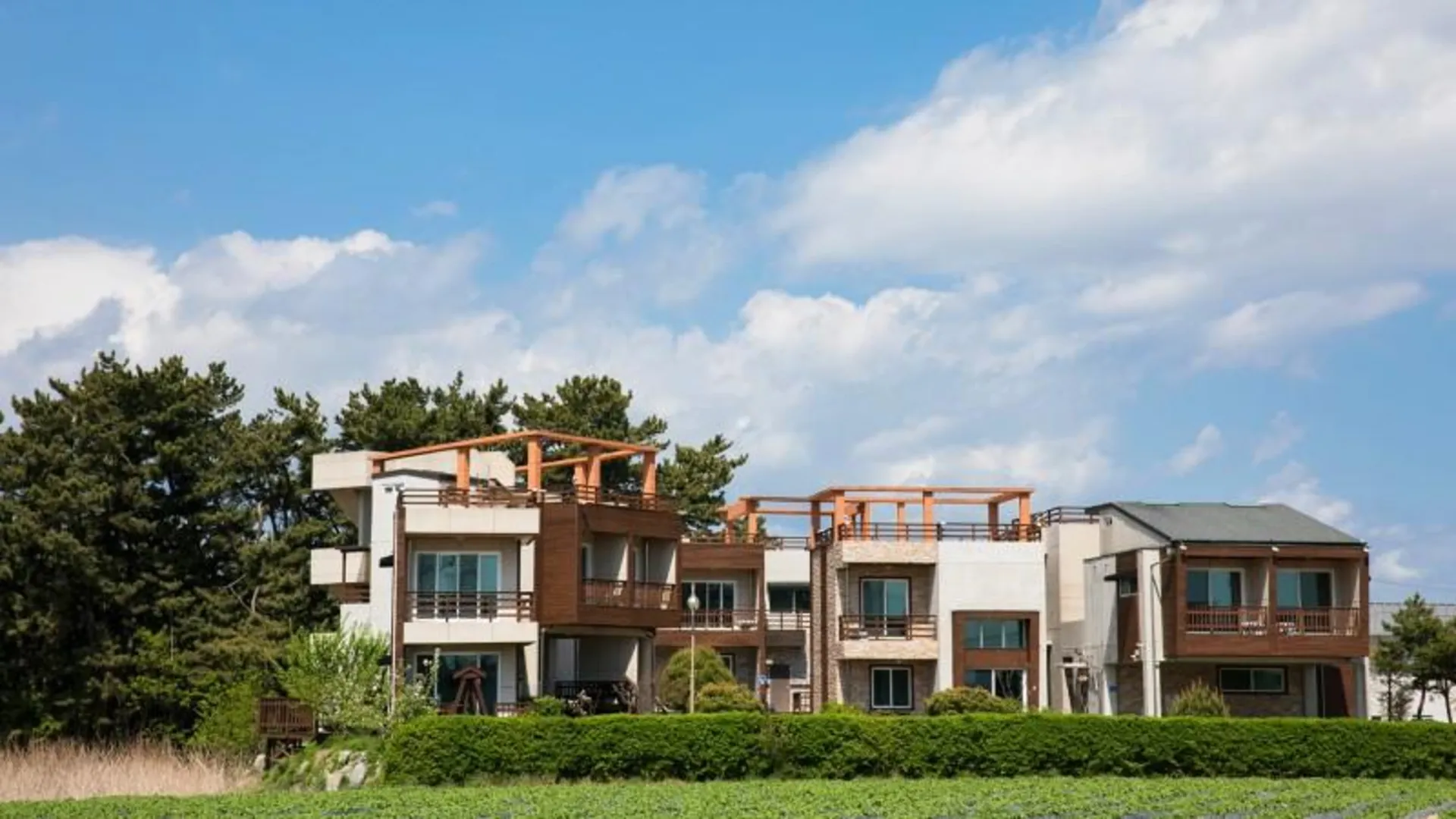 강릉 강릉 경포 그곳에가면 펜션 3성급 게스트하우스 부대시설