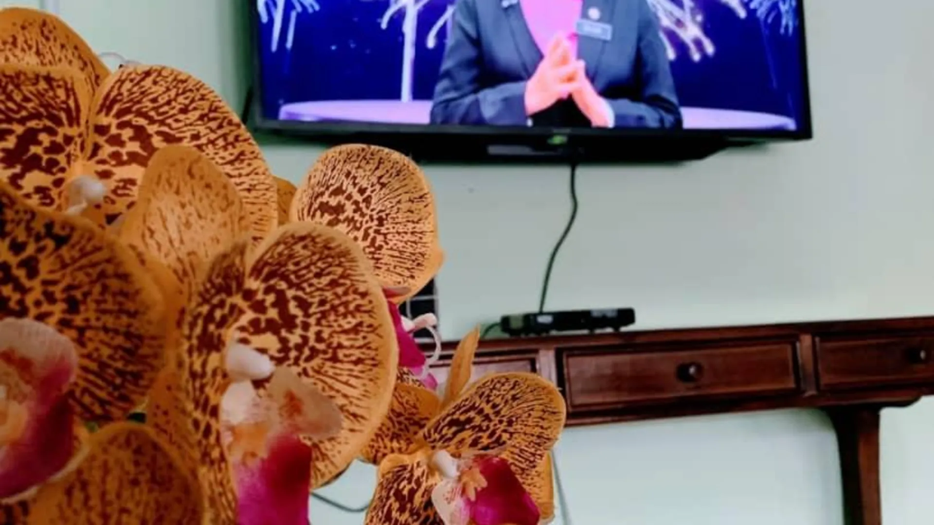 페칸 페칸 시티의 프라이빗 하우스 (75m², 침실 2개, 프라이빗 욕실 1개) 3성급 싱글룸 객실