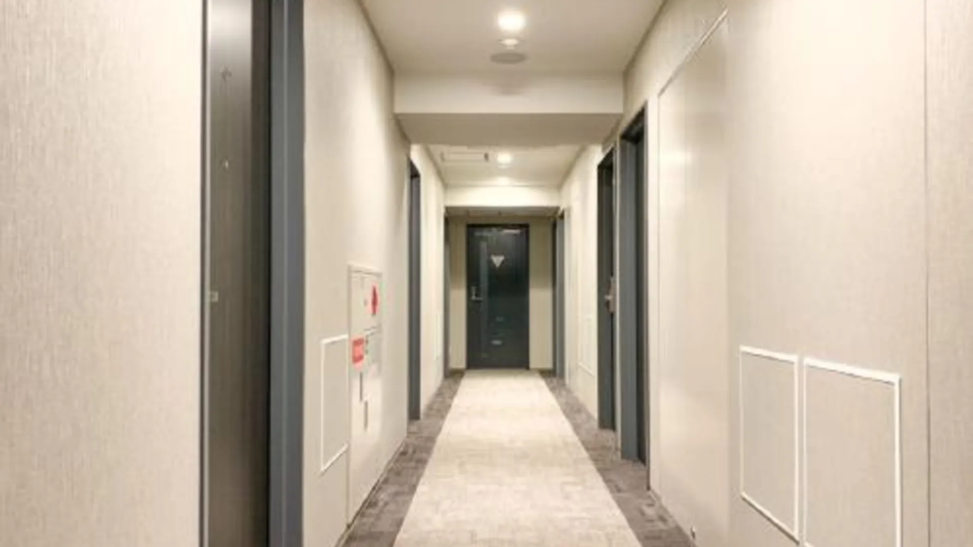 도쿄 / 동경 호텔 라이브맥스 니혼바시 고아미초 2성급 호텔 외관