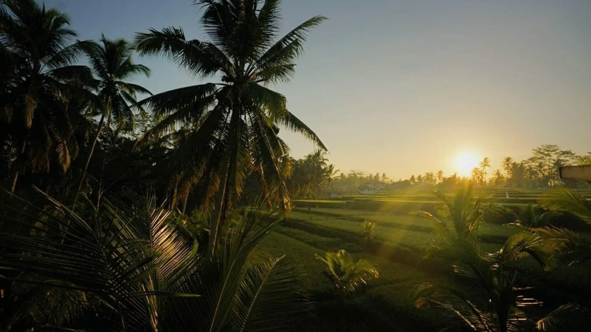 발리 기안야르의 빌라 (100m², 침실 1개, 프라이빗 욕실 1개) 3성급 싱글룸 전망