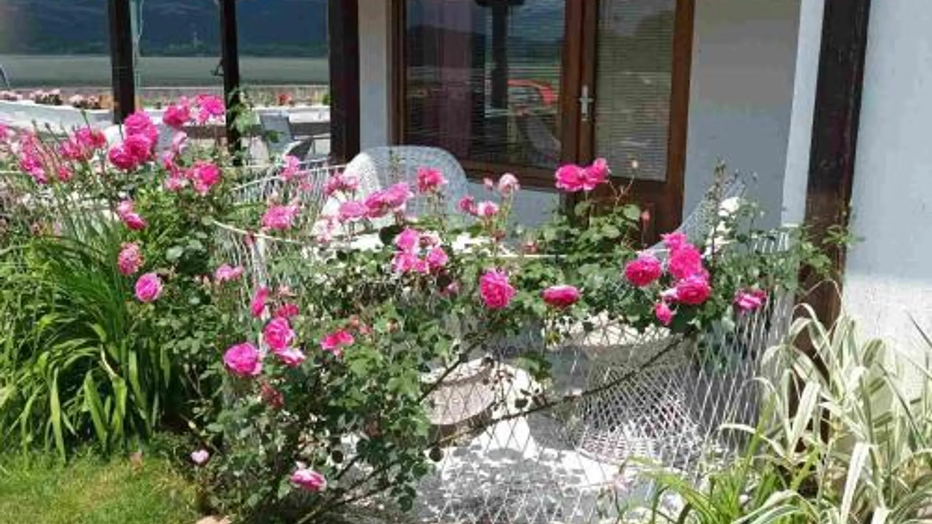 벨리코 그라디스테 Apartmani sa pogledom na Dunav - Akademik 5성급 게스트하우스 객실