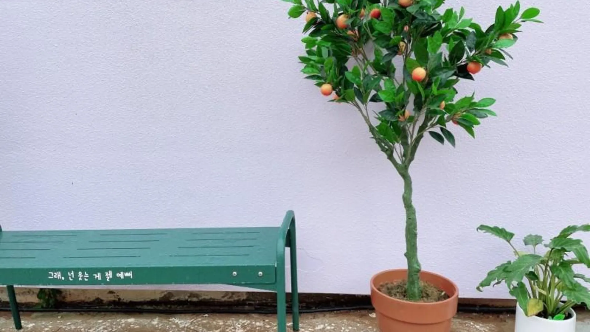 인천 대부도(선재도) 라벤더데이펜션 2성급 게스트하우스 레스토랑