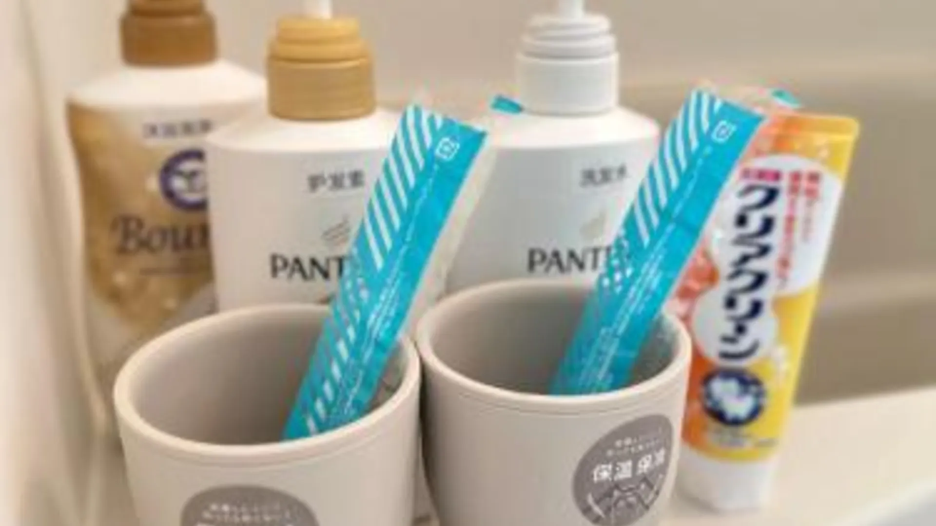 도쿄 / 동경 淺夏館Asakakan 3성급 싱글룸 객실