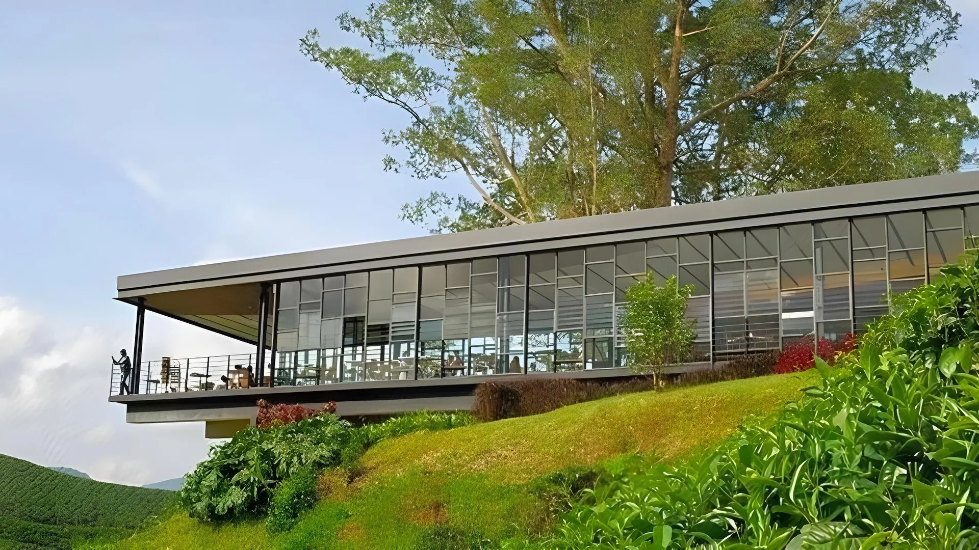 카메론 하일랜즈 스트로베리 파크 리조트  4성급 호텔 수영장