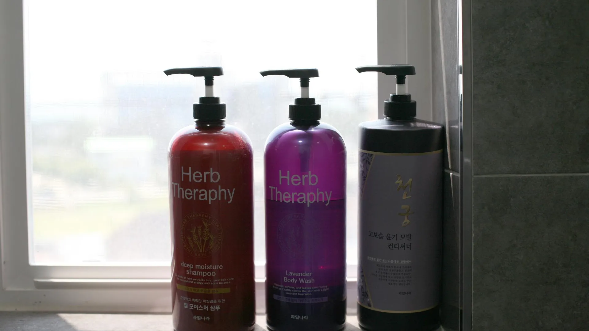 강릉 캡슐인 강릉 2성급 호텔 레스토랑