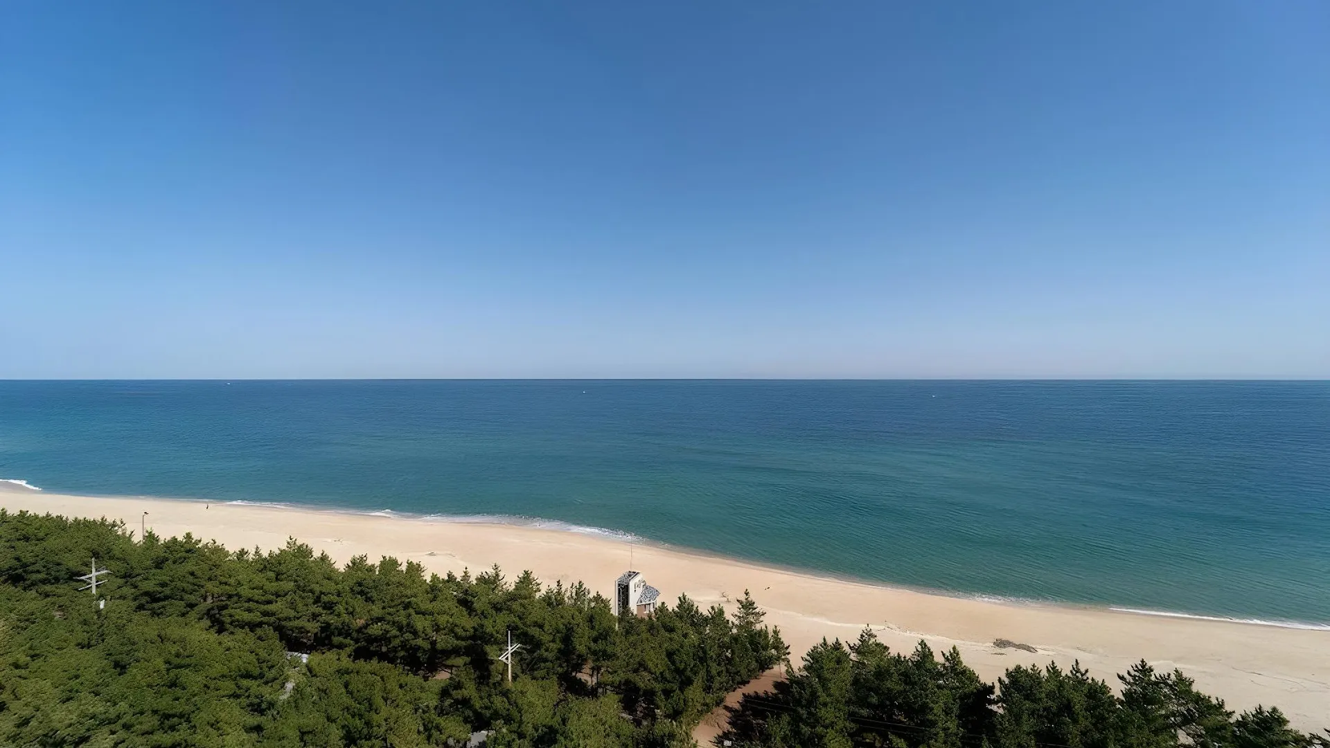 강릉 파인아트 라벨 3성급 호텔 레스토랑