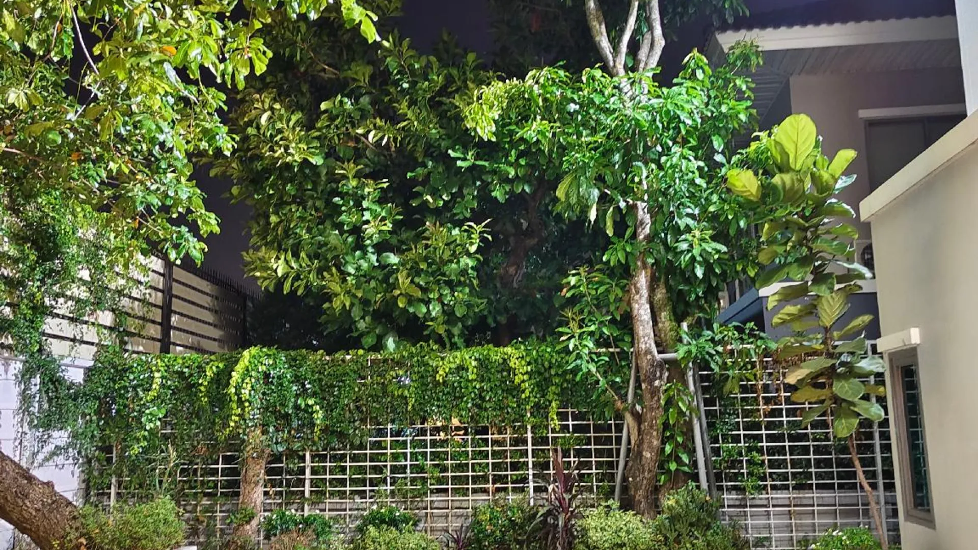 방콕 람캄행의 프라이빗 하우스 (86m², 침실 4개, 프라이빗 욕실 4개) 4성급 싱글룸 부대시설