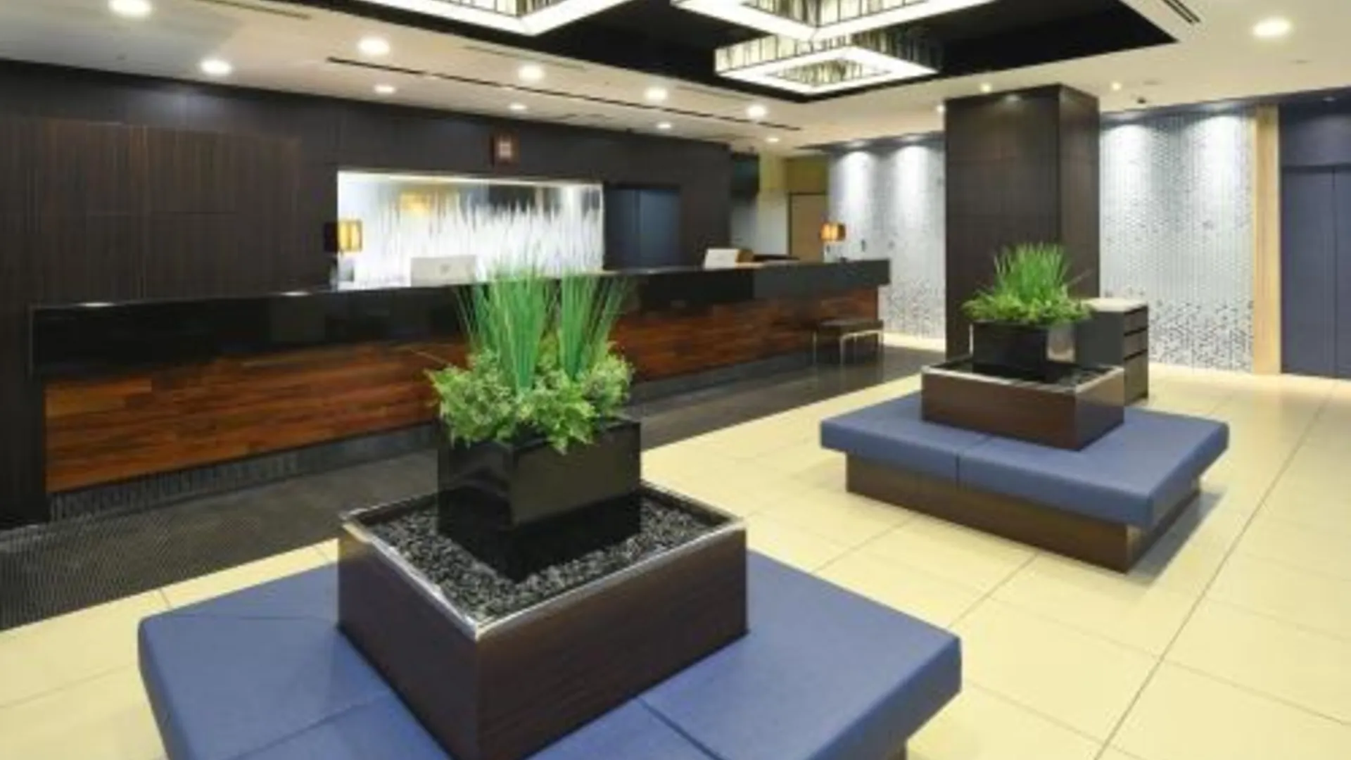 도쿄 / 동경 호텔 마이스테이 오차노미즈 CC 4성급 호텔 로비