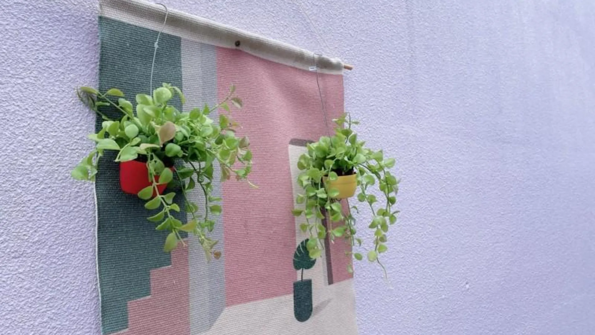 인천 대부도(선재도) 라벤더데이펜션 2성급 게스트하우스 객실