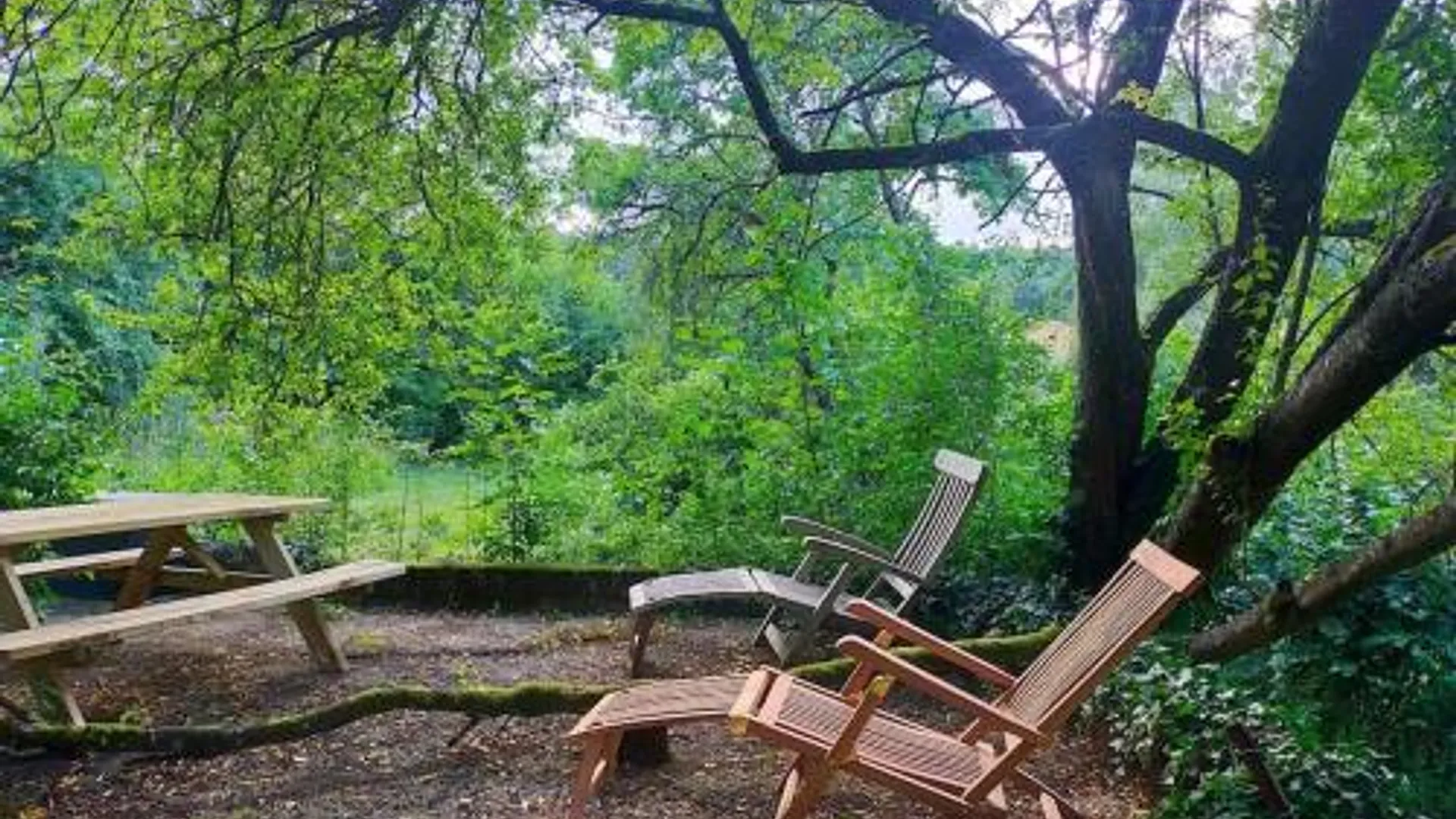 아우반게 Tiny Messancy, une immersion dans la nature ! 4성급 싱글룸 레스토랑