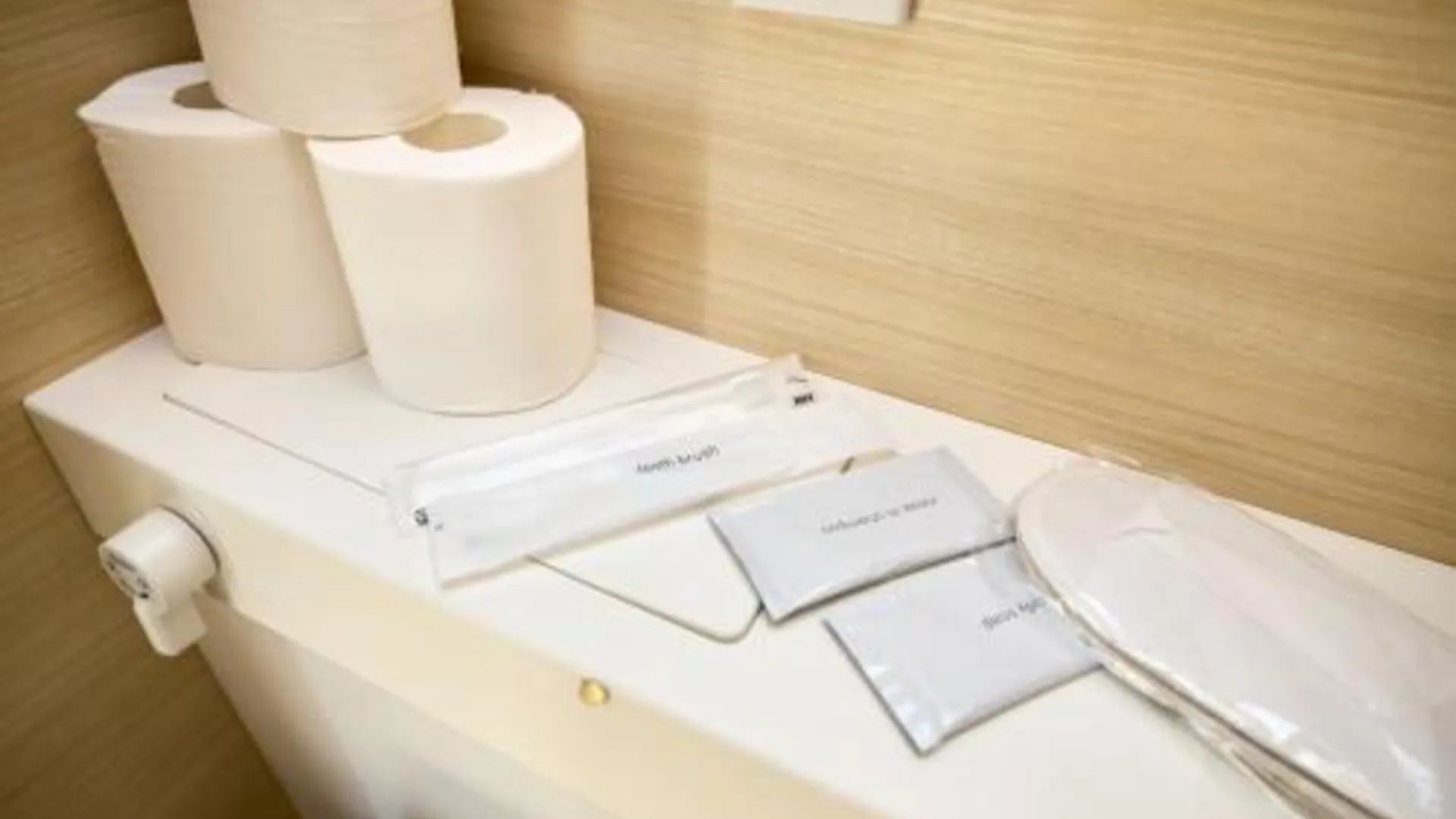 도쿄 / 동경 쿄와 호텔 3성급 호텔 스위트룸