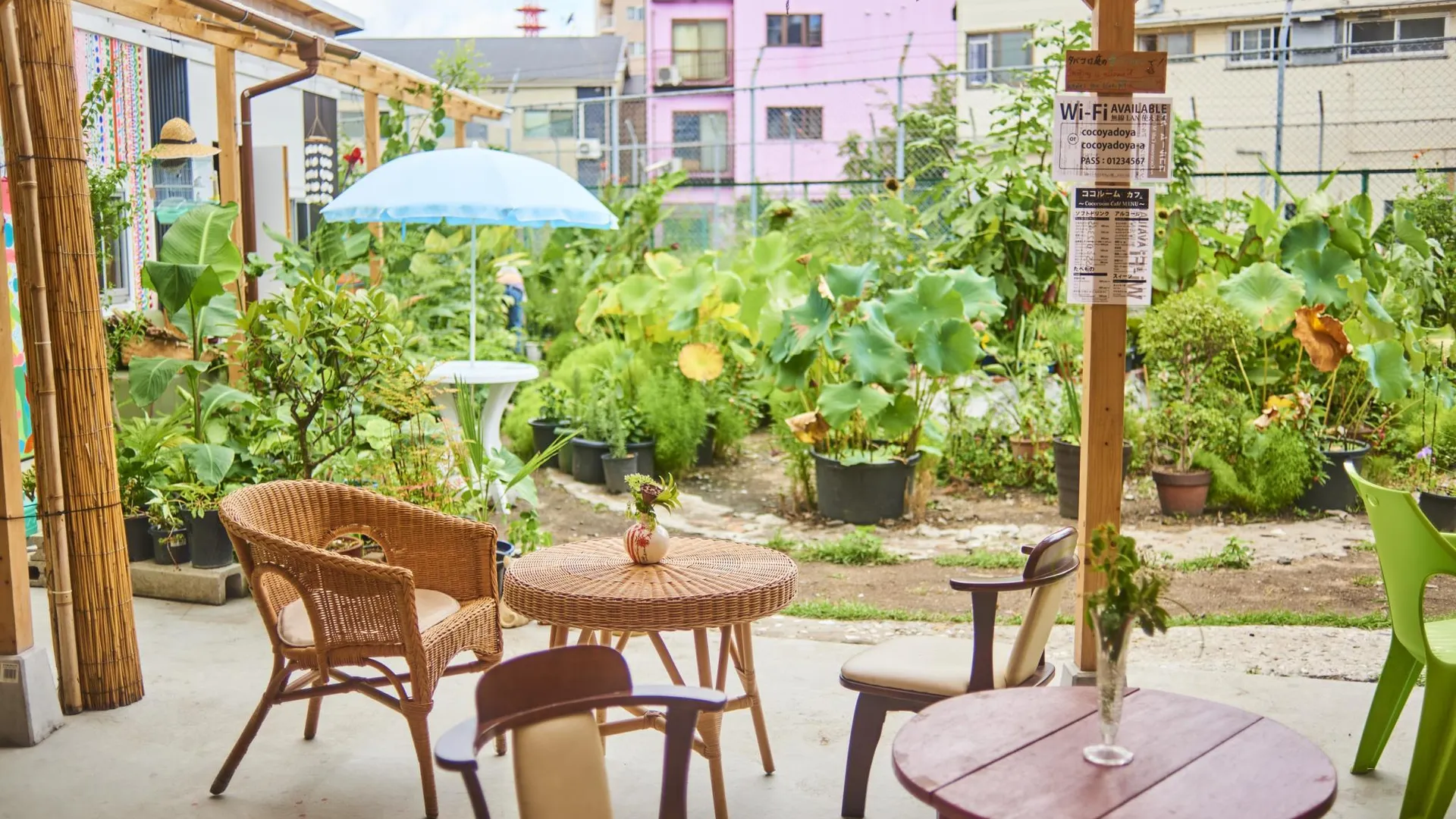 오사카 가마가사키 예술대학 카페 가든 게스트 하우스 1성급 호텔 객실