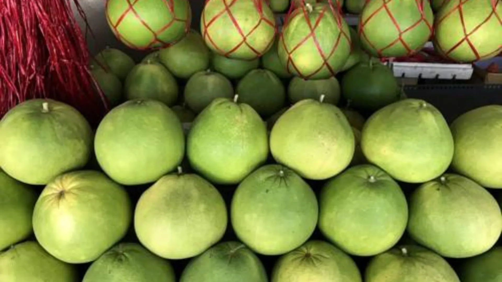 이포 Austin GuestHouse 호텔 부대시설