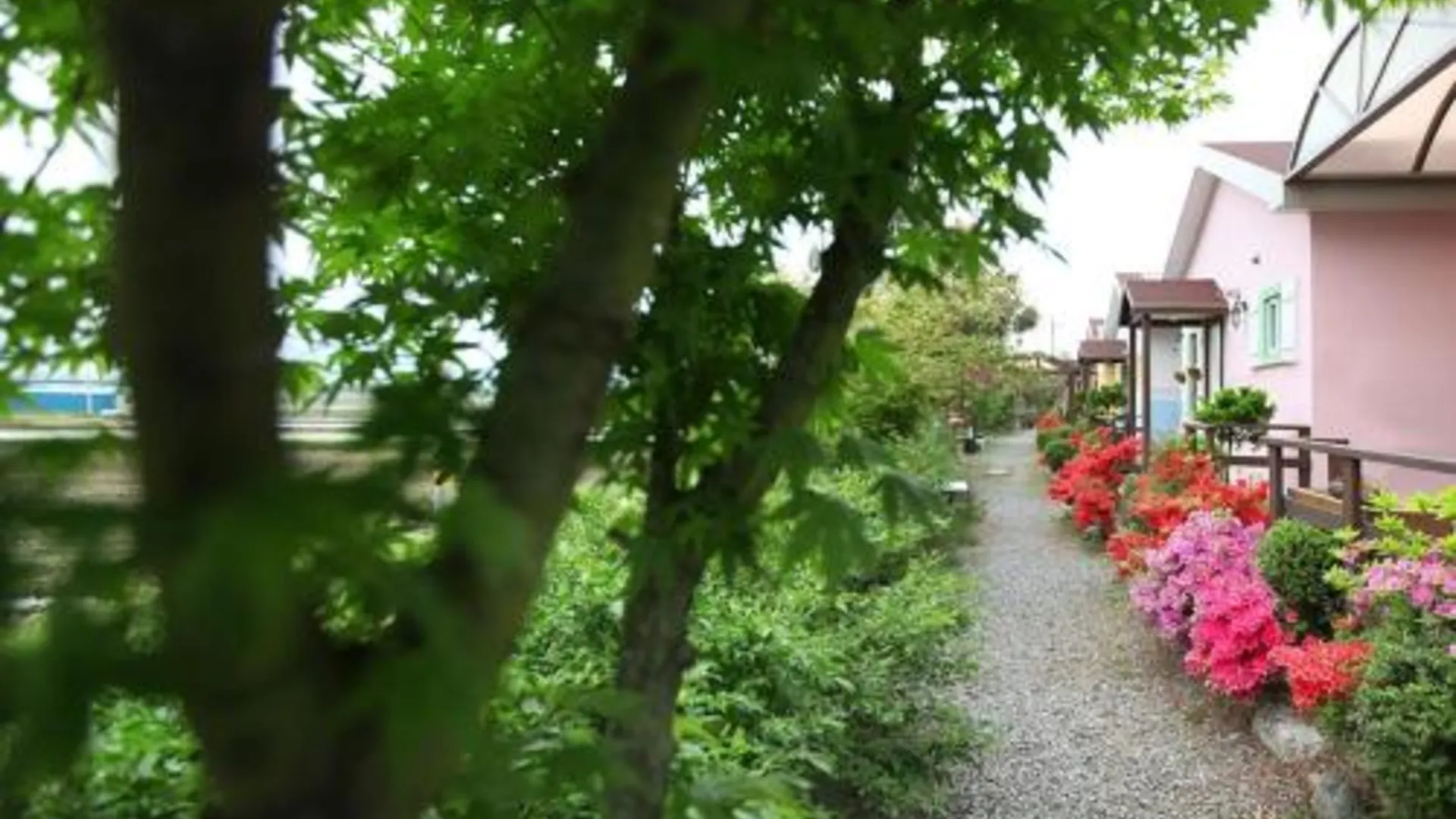 양양 양양 씨엘 펜션 3성급 게스트하우스 부대시설