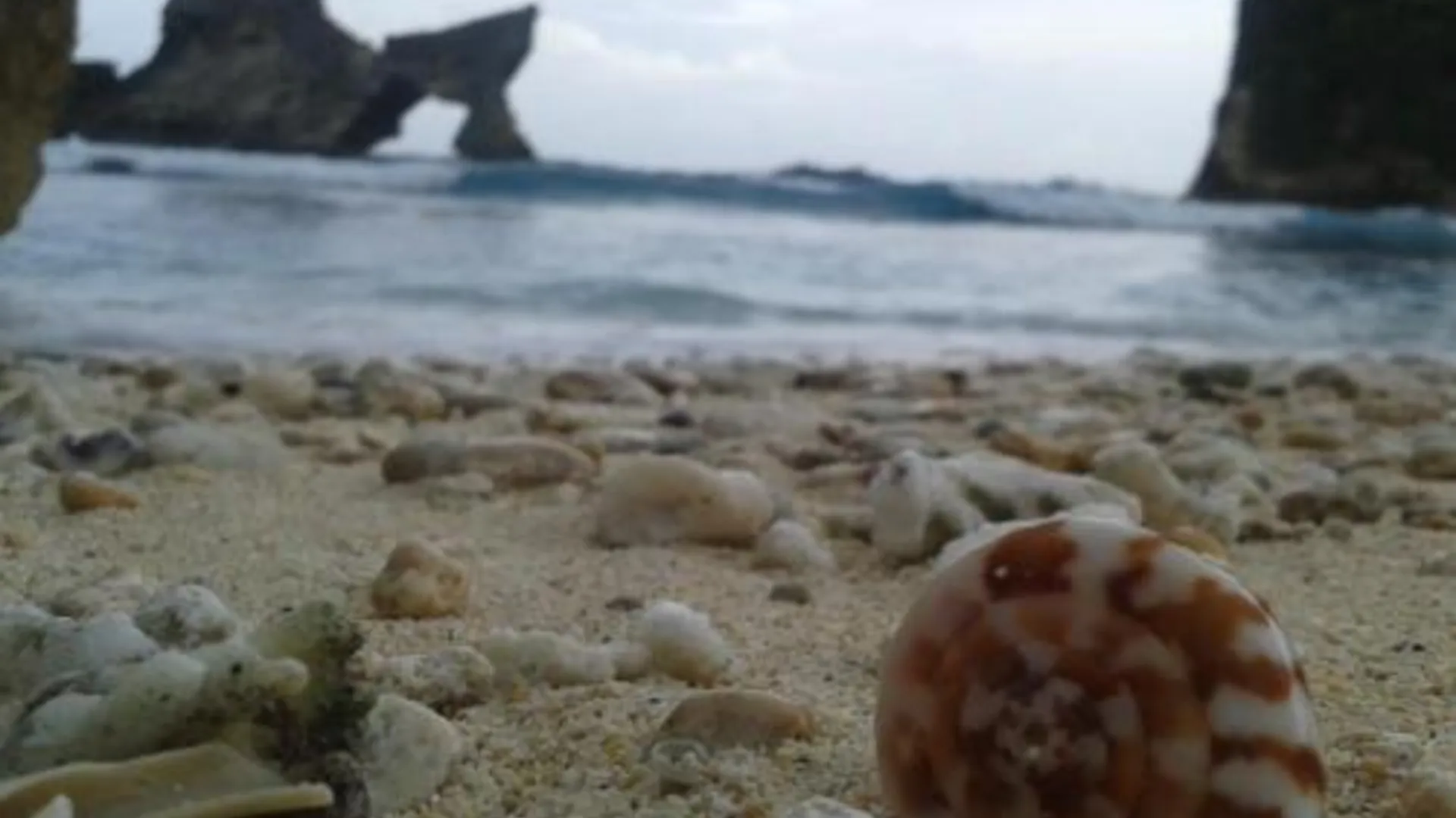 발리 미코 발리 방갈로 4성급 게스트하우스 부대시설