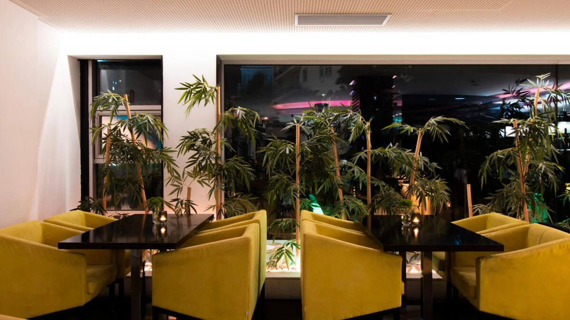 리스본 사나 클래식 캐피톨 호텔 3성급 호텔 수영장