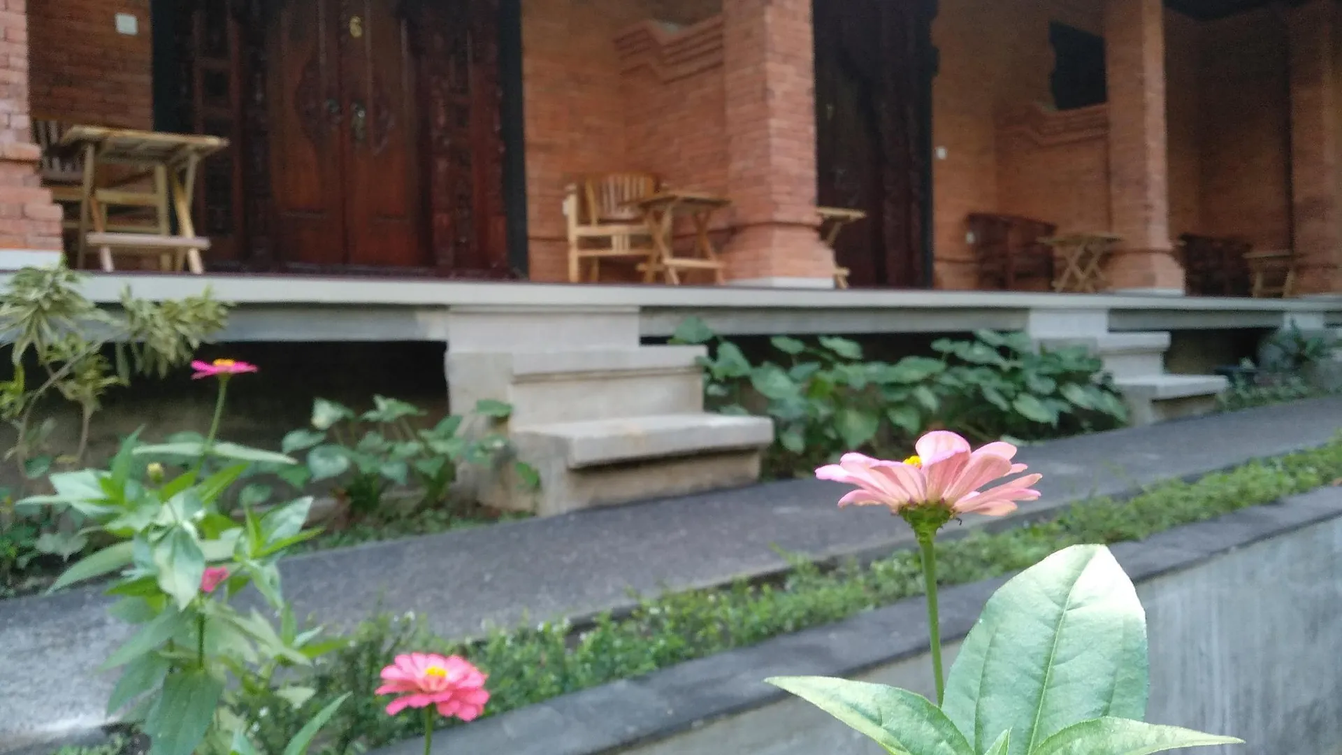 발리 우붓의 방갈로 (25m², 침실 1개, 프라이빗 욕실 1개) 4성급 게스트하우스 외관