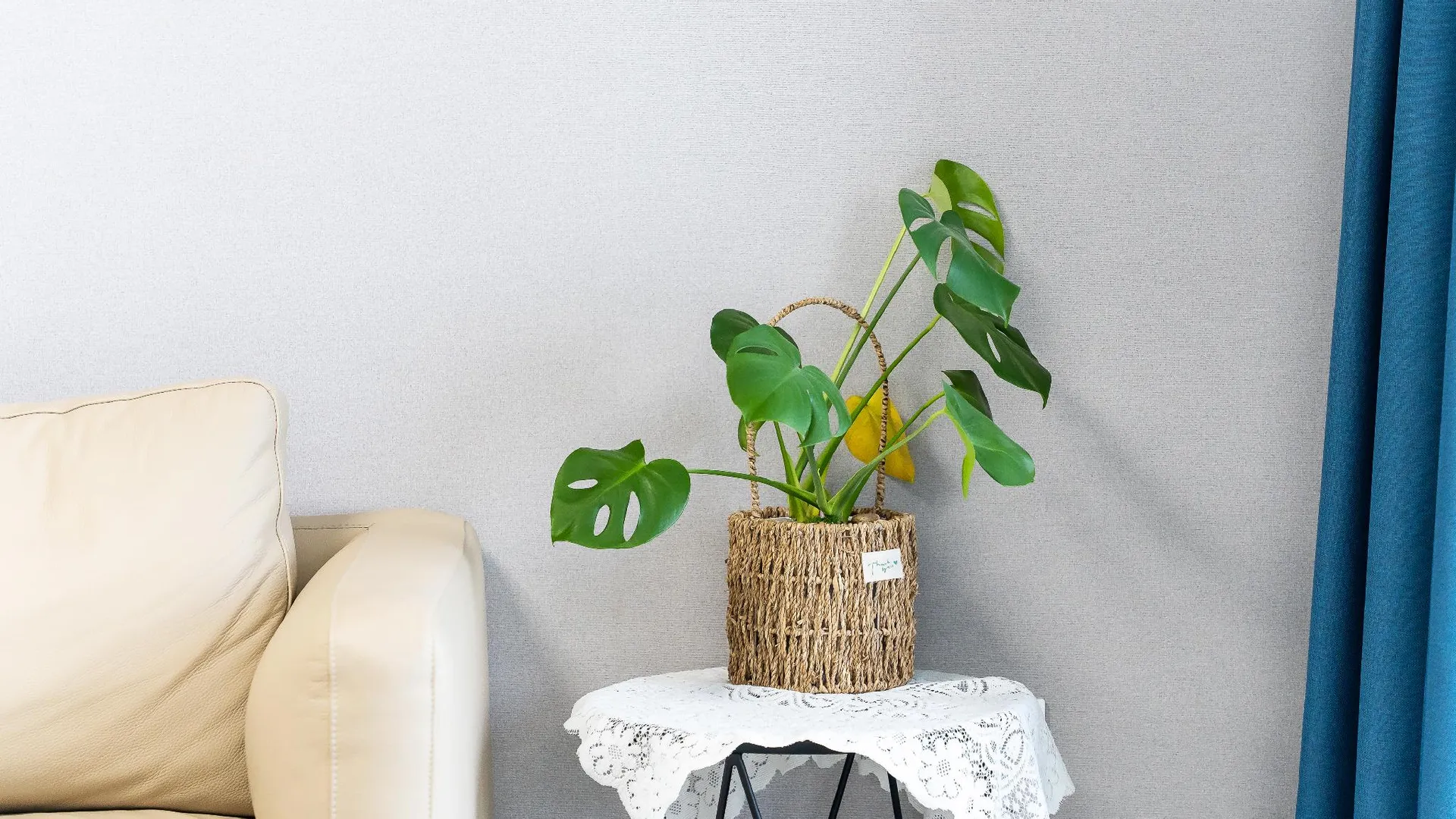 Ocean stay★ three room half ocean view room01