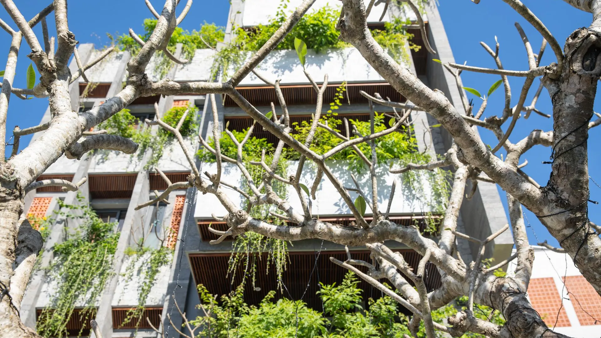 다낭 버널 홈 부티크 빌라 3성급 호텔 객실