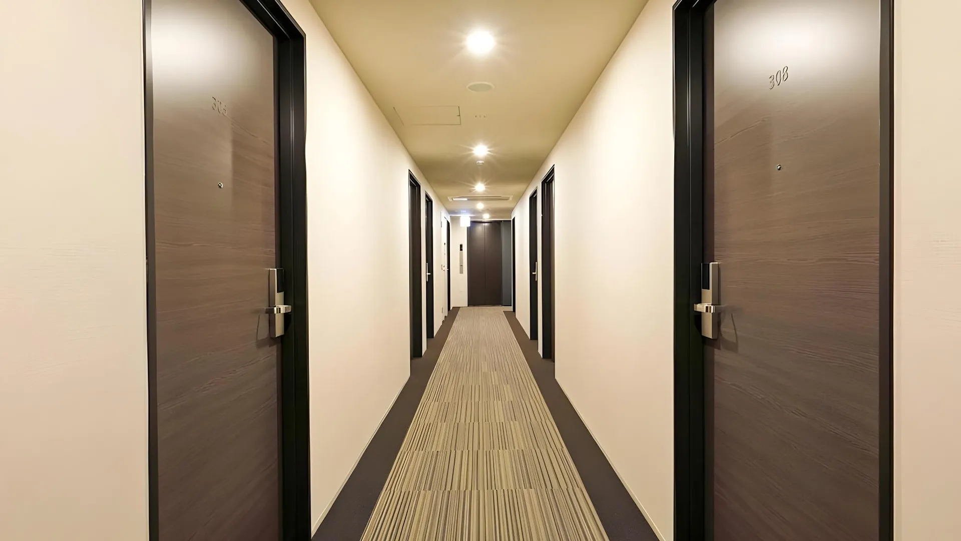 도쿄 / 동경 호텔 라이브맥스 신주쿠 이스트 2성급 호텔 외관