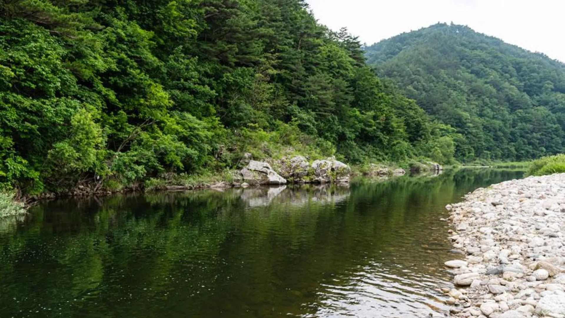 양양 양양 가족펜션 2성급 게스트하우스 부대시설