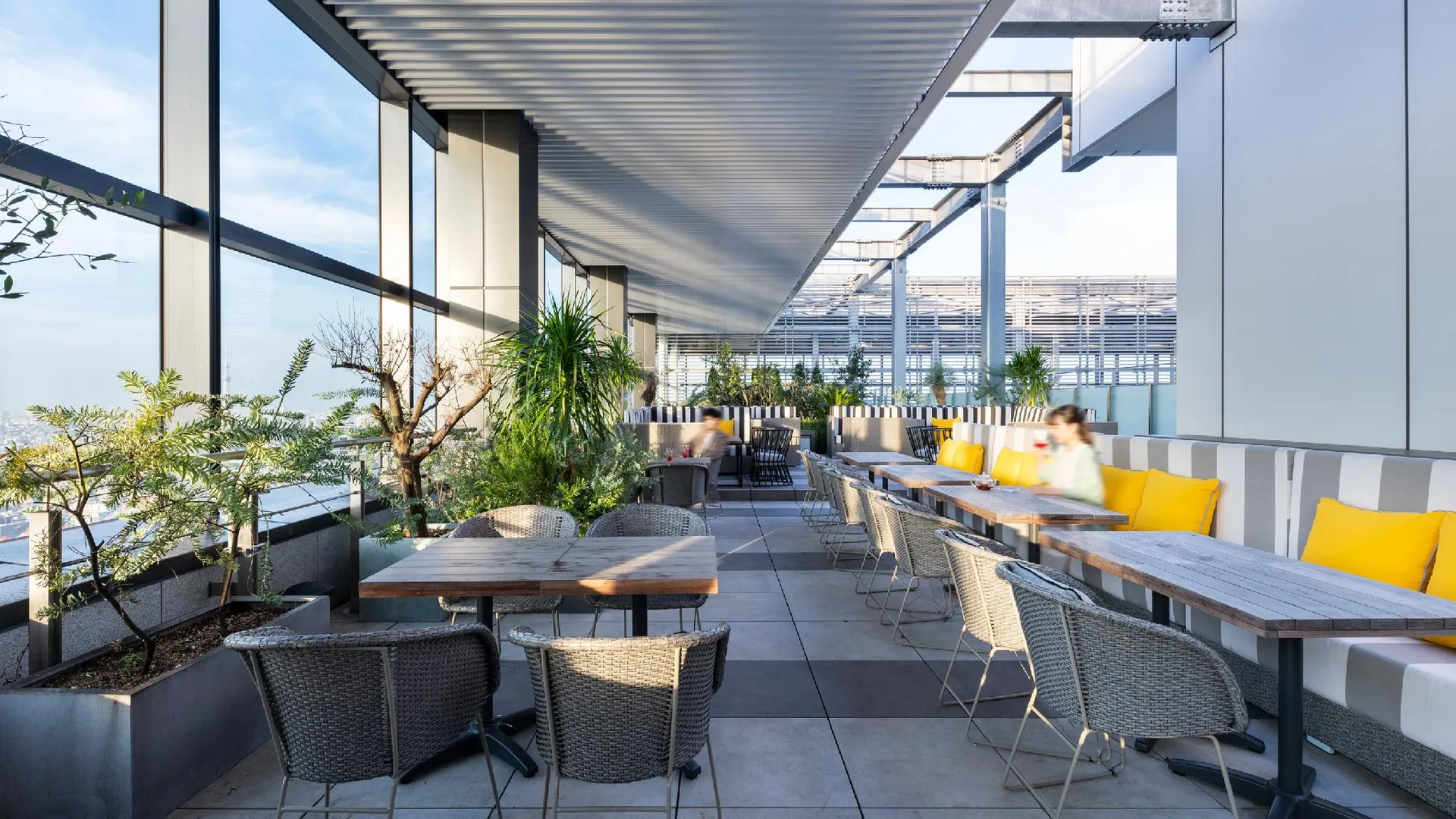 도쿄 / 동경 미츠이 가든 호텔 토요스 프리미어 / 도쿄 5성급 호텔 수영장