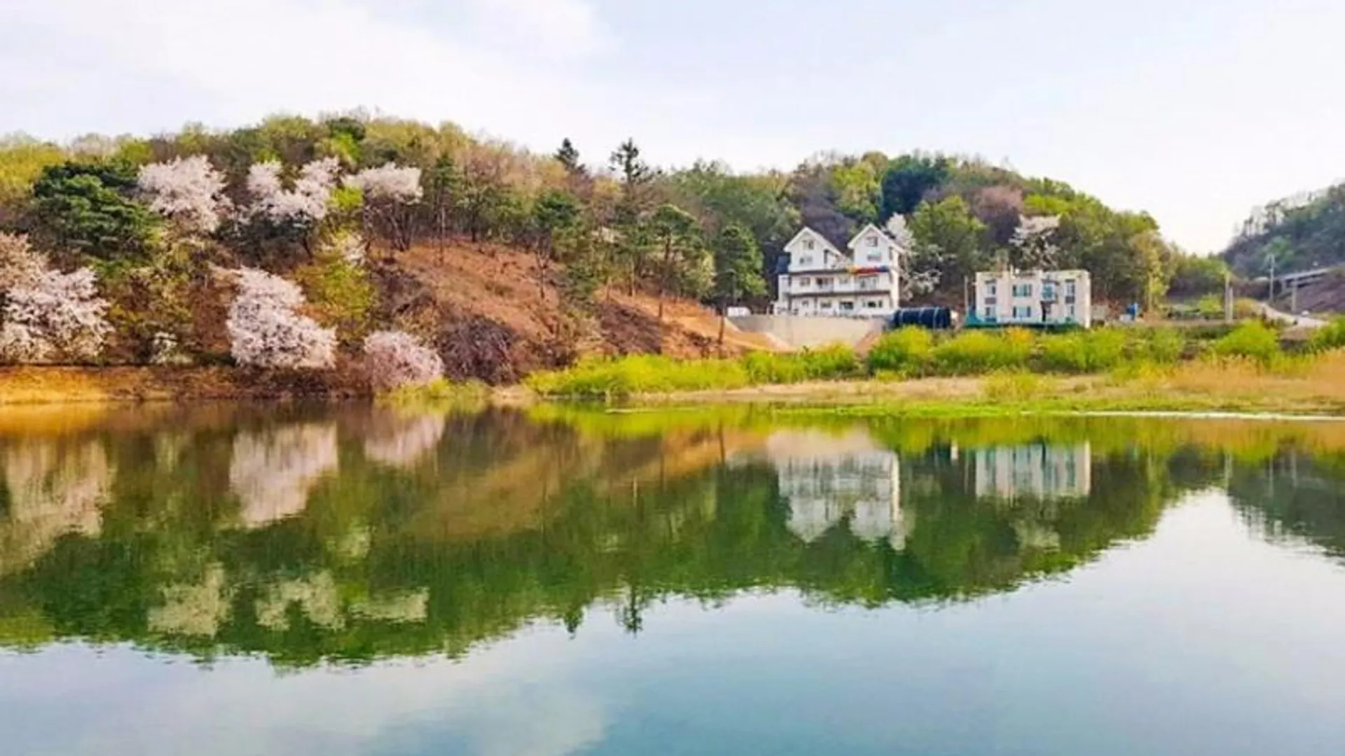 안성 안성 펜션뜰안채 3성급 게스트하우스 수영장