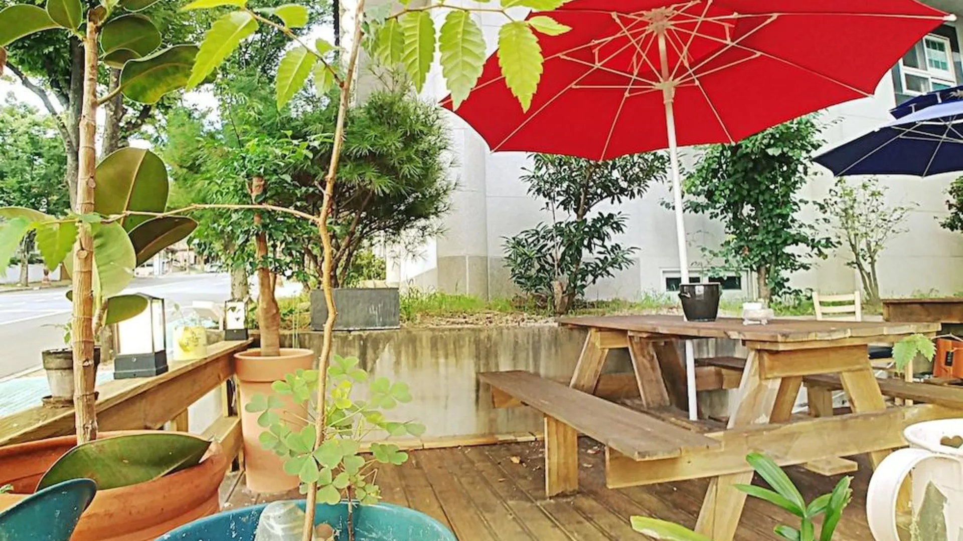 경주 키즈 앤 가족 호텔 3성급 호텔 레스토랑