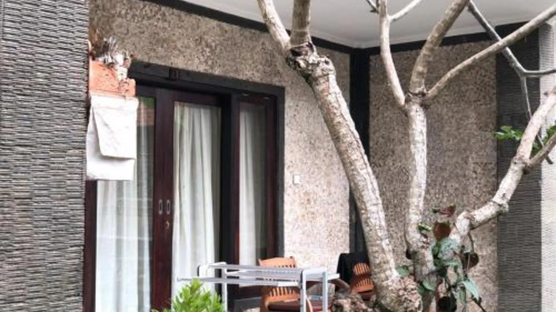 발리 Umah Belos 2성급 게스트하우스 전망