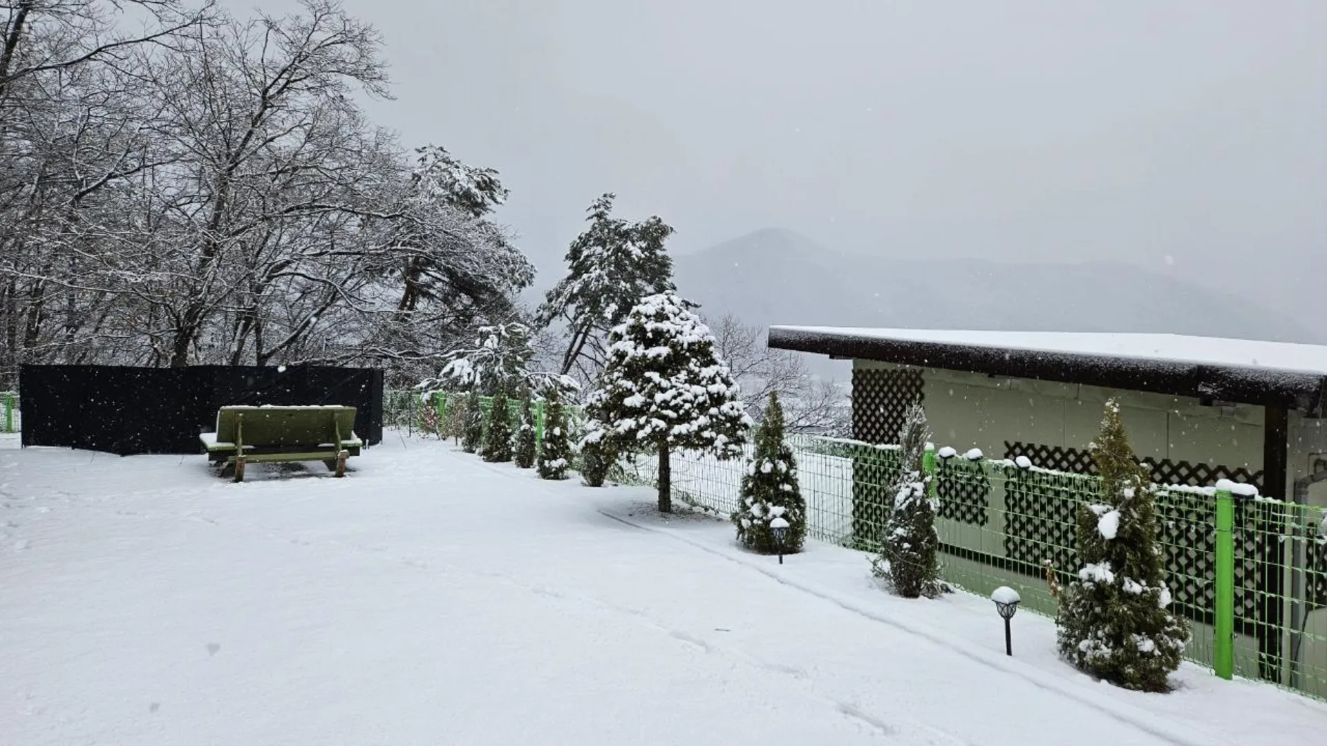 양평 양평 별밤지기독채애견동반펜션 2성급 싱글룸 전망