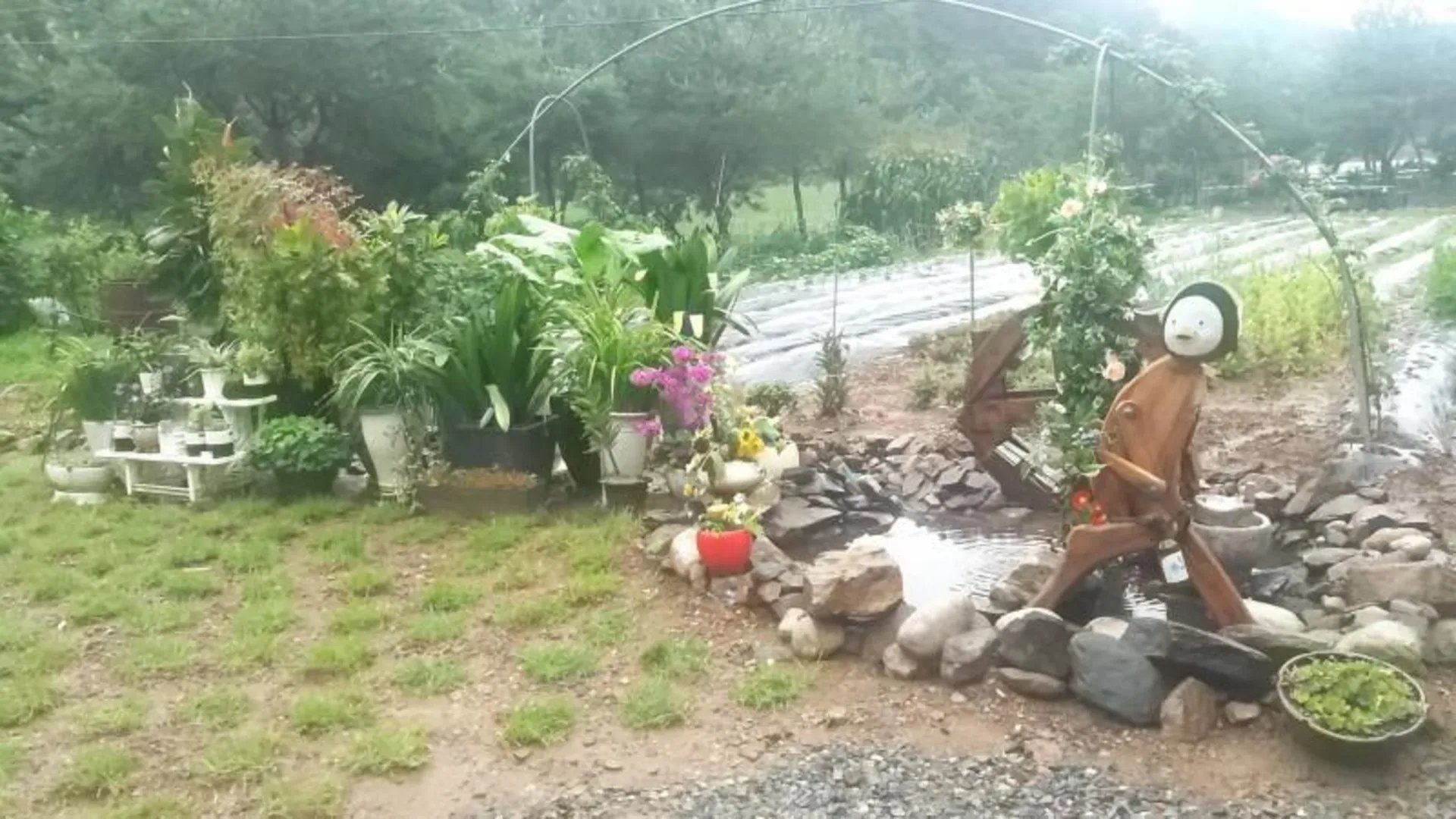 충주 충주 월악산꽃피는산골펜션 2성급 게스트하우스 전망