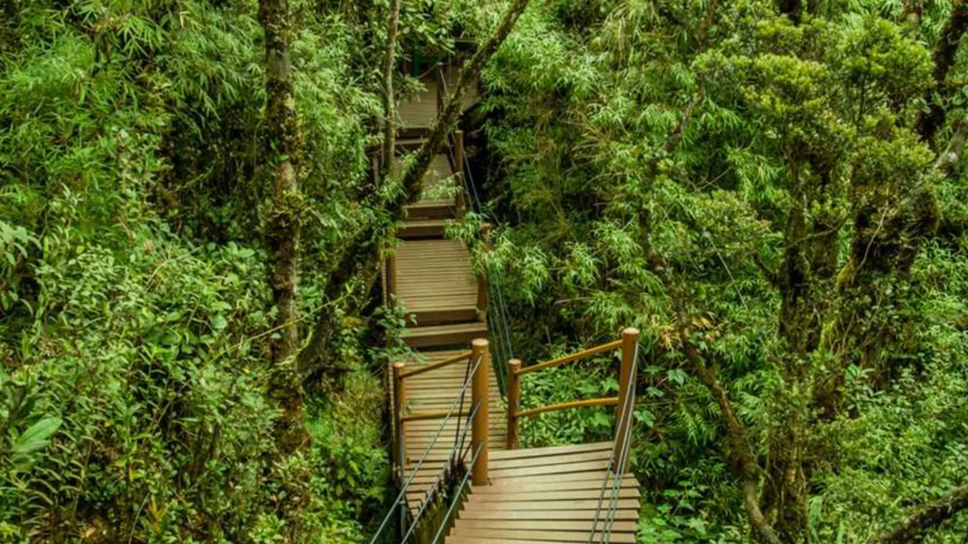 카메론 하일랜즈 브린창의 스튜디오 아파트먼트 (51m², 프라이빗 욕실 1개) 4성급 싱글룸 부대시설