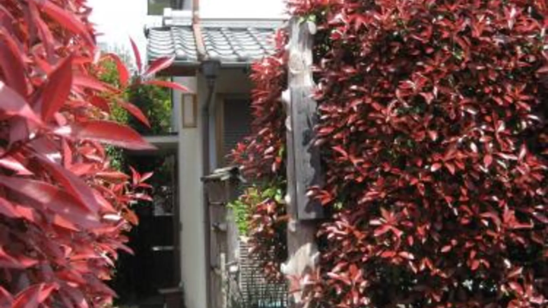 교토 Kyoto Narutaki Keisenso 1성급 호텔 수영장