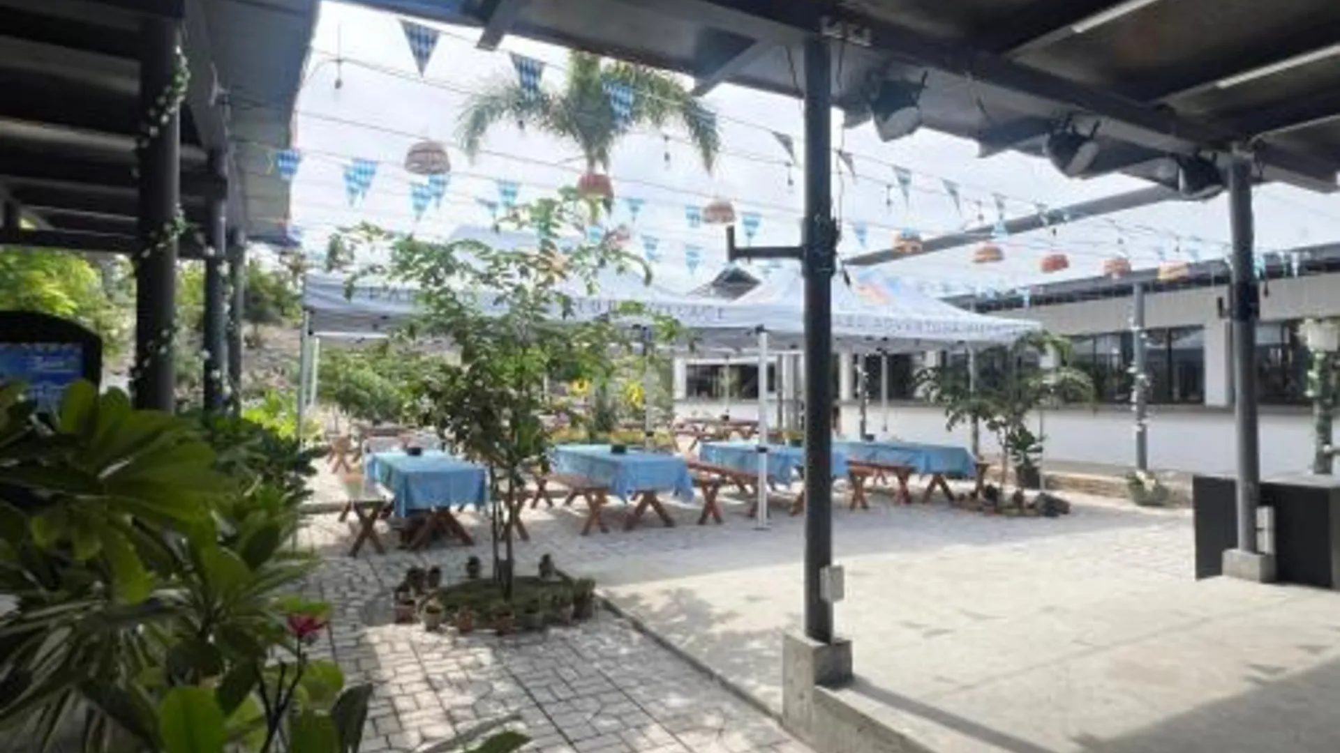 세부 파파보 어드벤처 빌리지 4성급 게스트하우스 외관