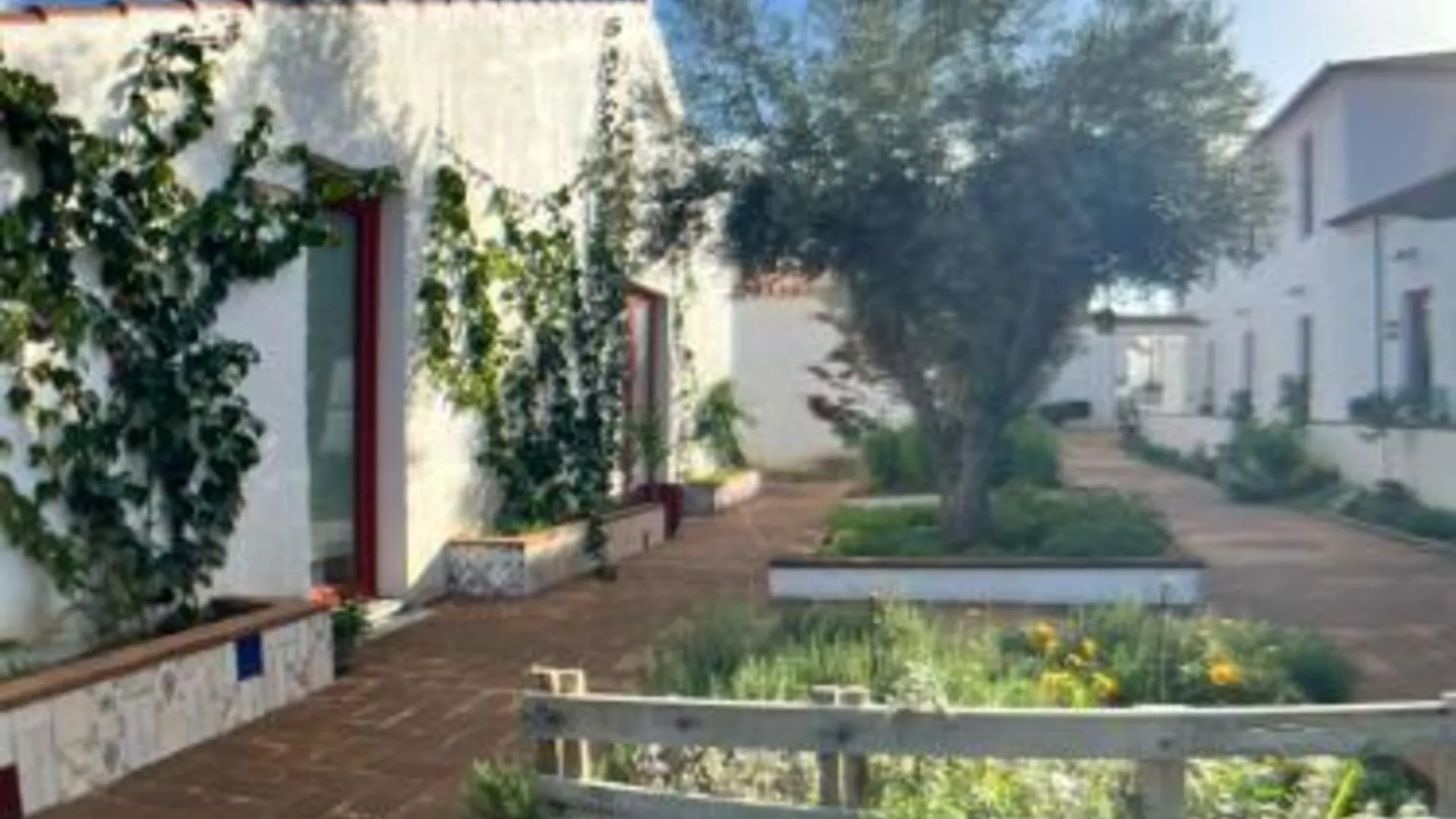 몬사라츠 Viva! Farmhouse 4성급 게스트하우스 전망