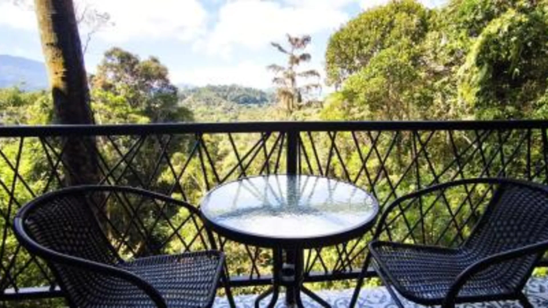 카메론 하일랜즈 캄포드 리조트 4성급 호텔 수영장