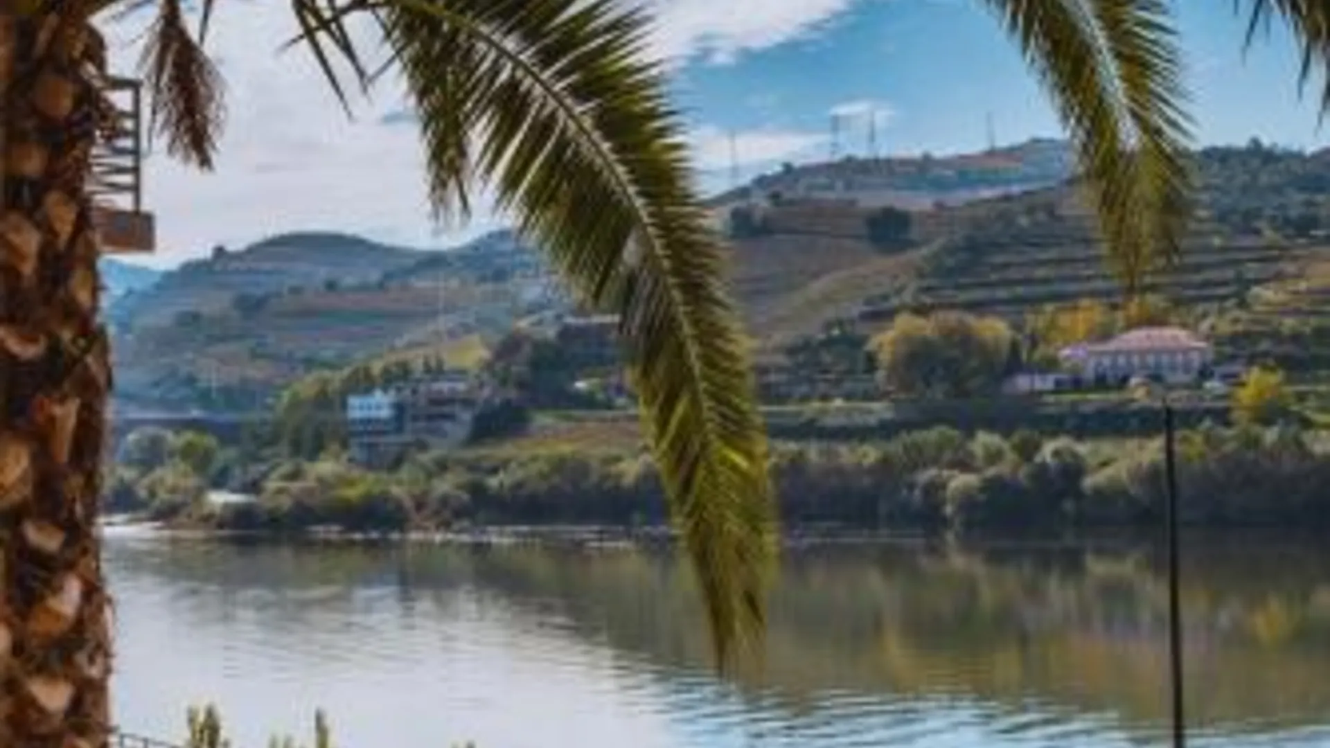 페소 다 레구아 Hotel Regua Douro 4성급 호텔 전망