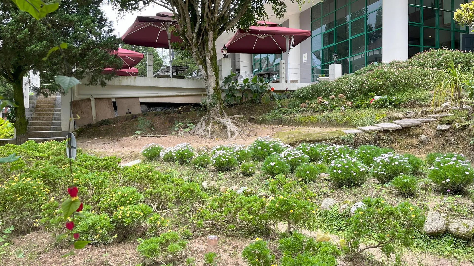 카메론 하일랜즈 브린창의 프라이빗 하우스 (100m², 침실 2개, 프라이빗 욕실 2개) 3성급 싱글룸 수영장