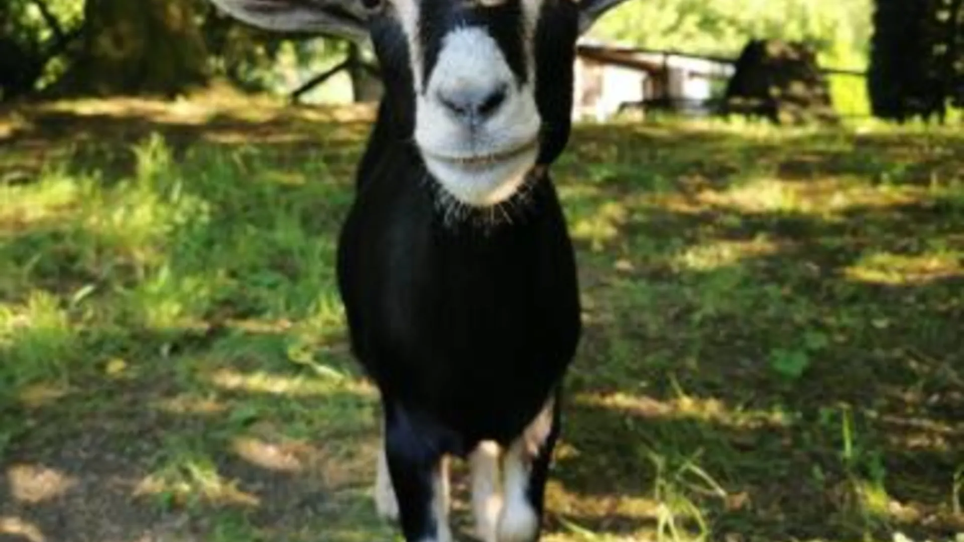 테그린 Wellstone Cottages - Honeysuckle 4성급 싱글룸 전망