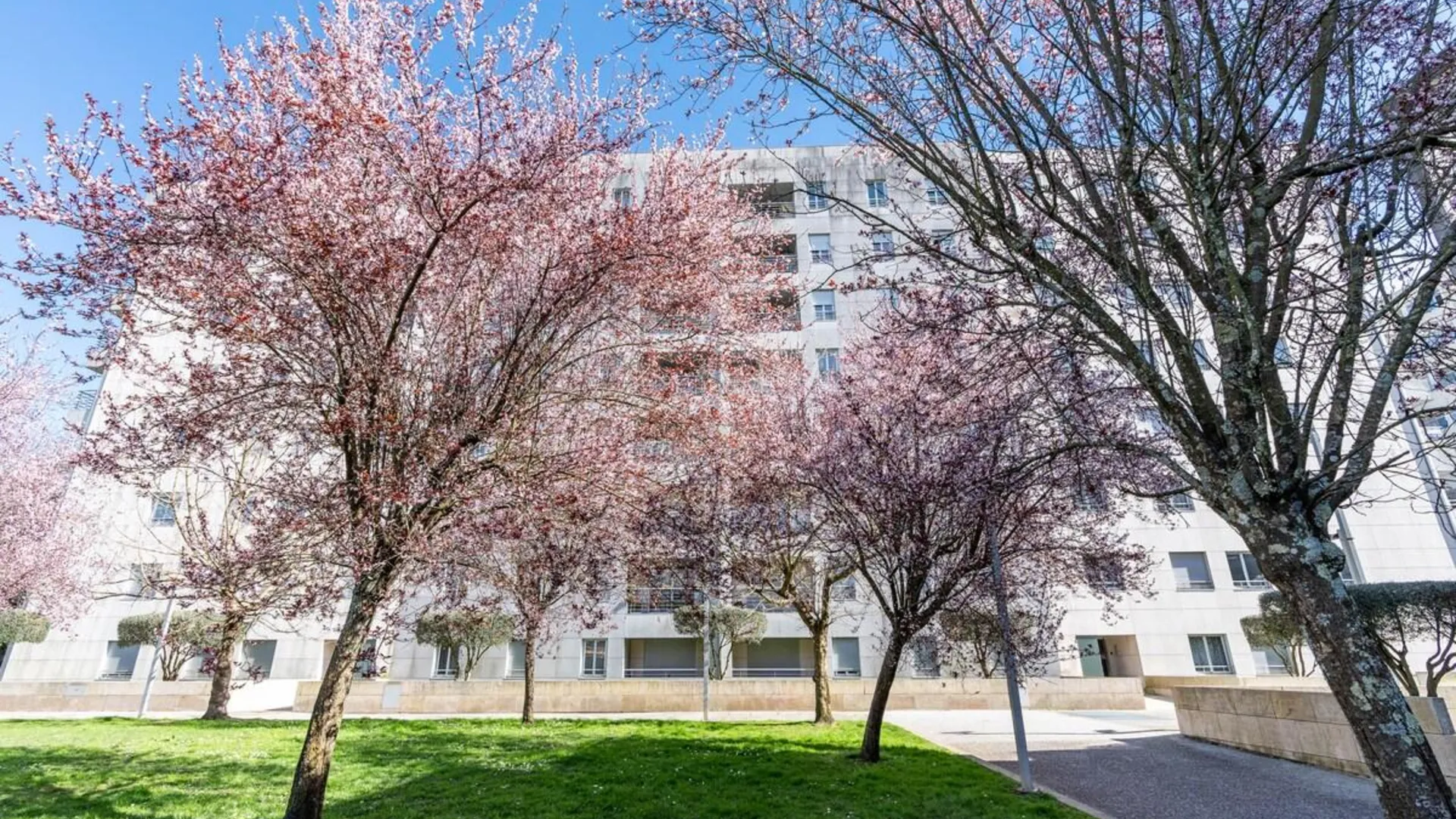 포르투 세도페이타의 아파트먼트 (48m², 침실 1개, 프라이빗 욕실 1개) 4성급 게스트하우스 객실