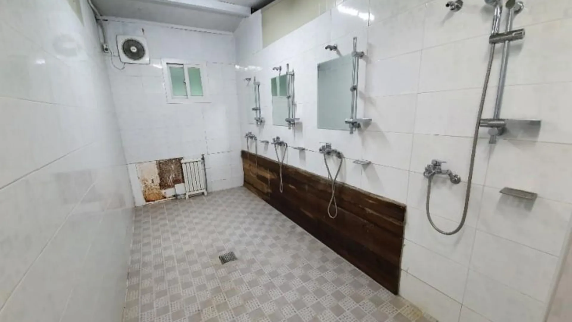 가평 링크독애견캠핑장