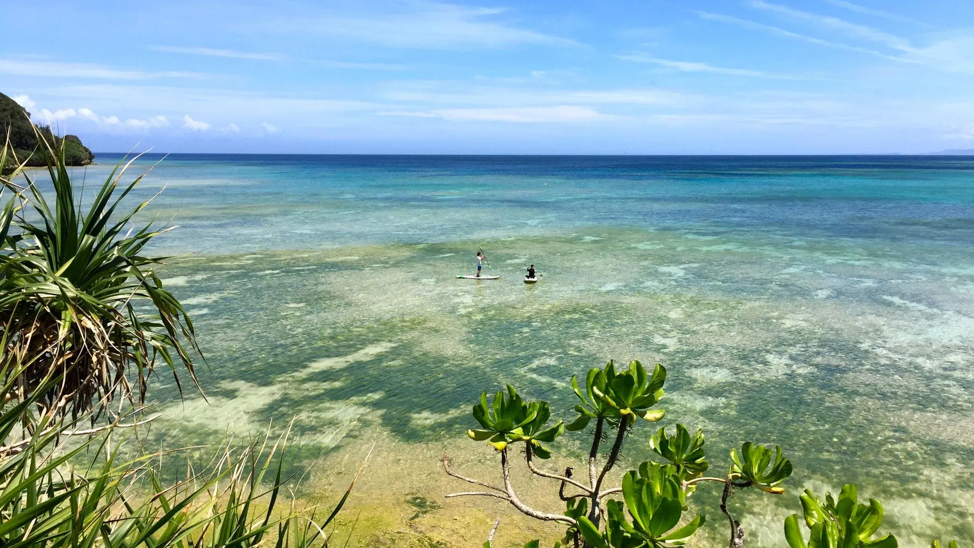 오키나와 본섬 게스트하우스 라이프 이즈 어 저니 1성급 호텔 객실