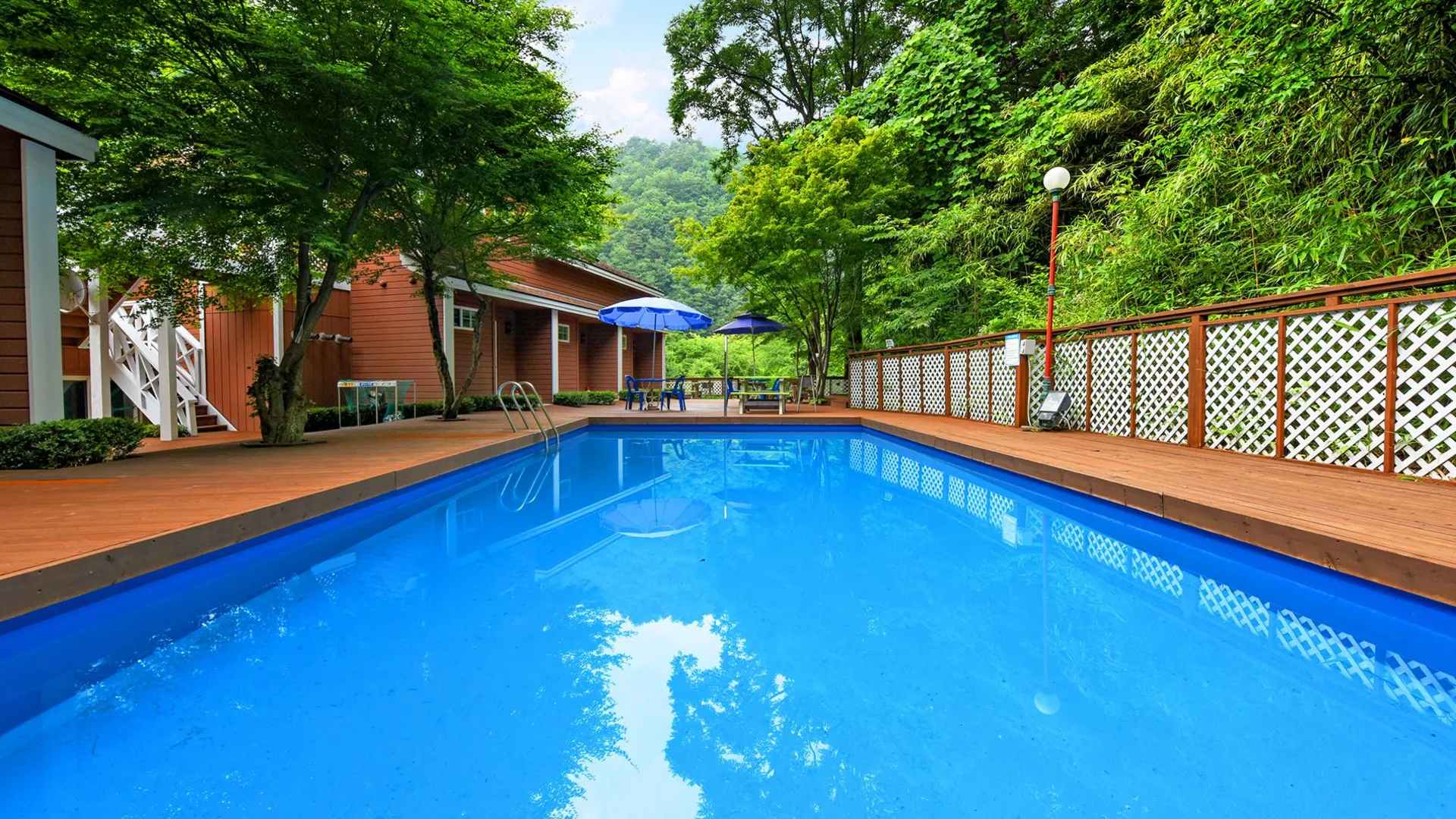 양양 양양 꿈꾸는숲펜션 1성급 게스트하우스 스위트룸