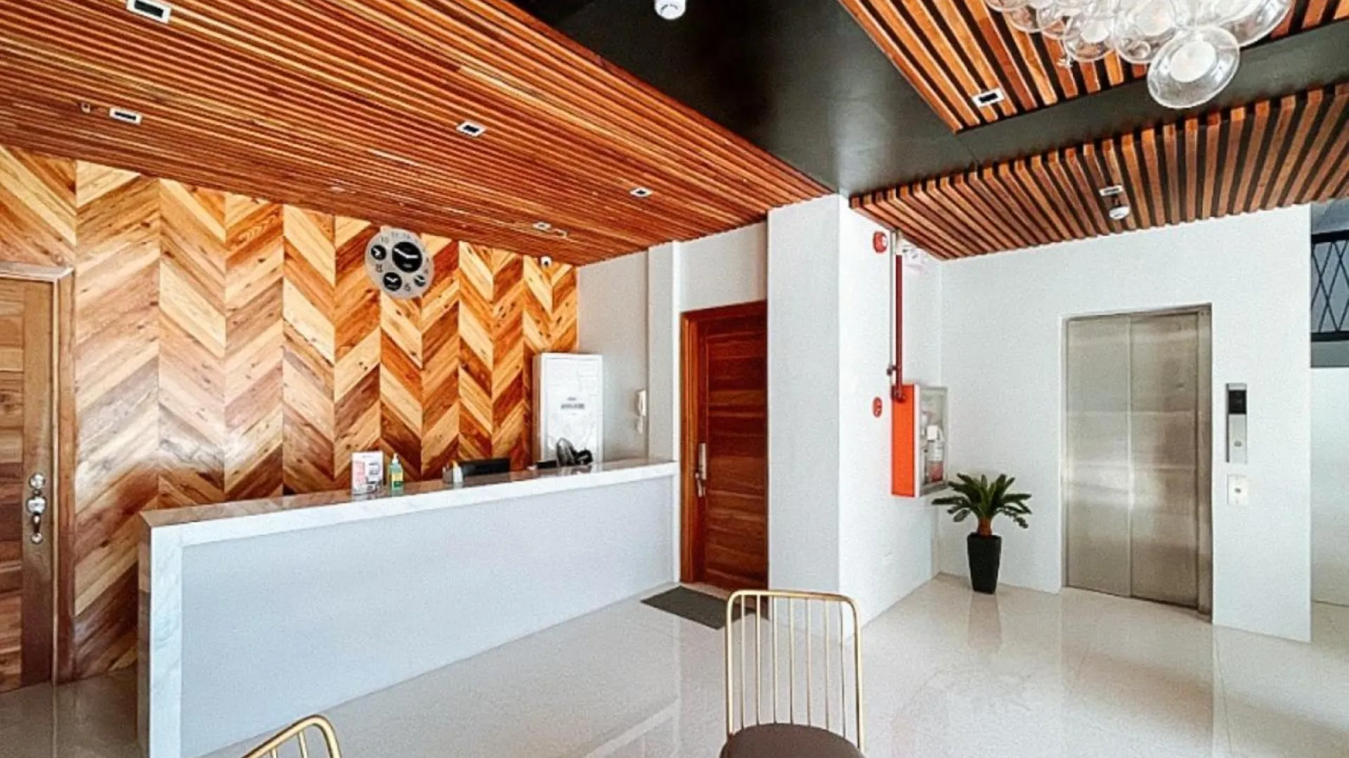 세부 루딜스 플레이스 호텔 앤 도미토리 5성급 호텔 부대시설