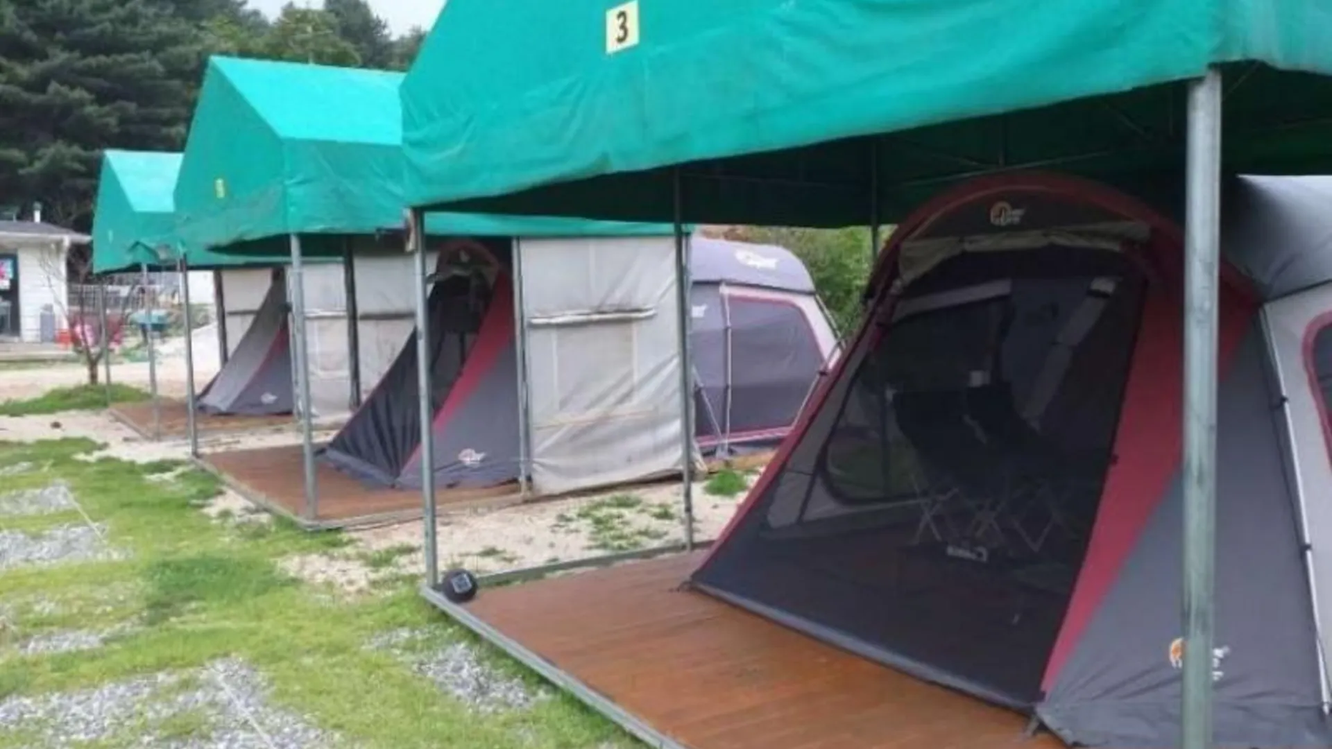 가평 가평 링크독애견캠핑장 2성급 게스트하우스 수영장