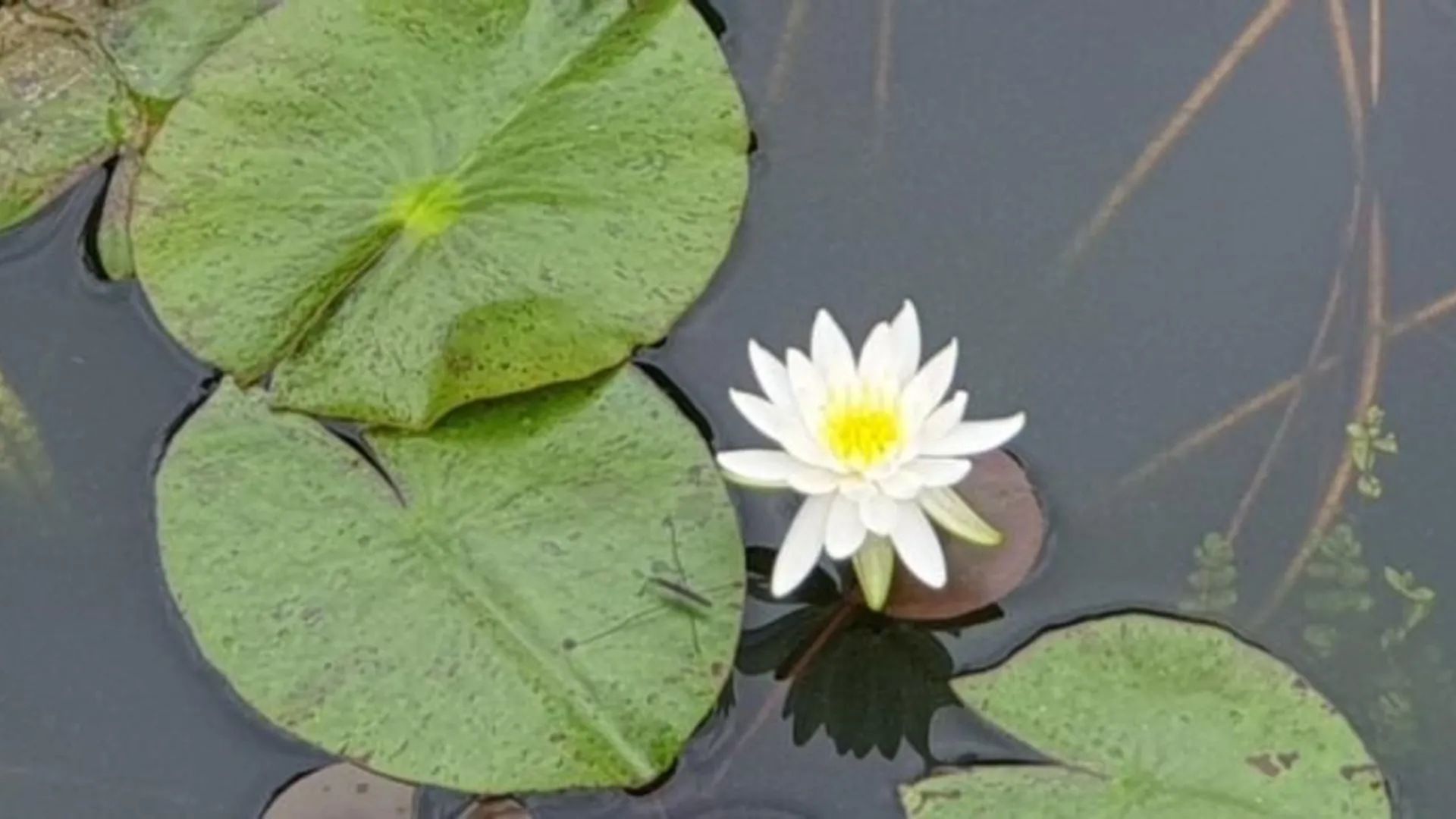 통영 통영 타샤의정원펜션 2성급 게스트하우스 객실